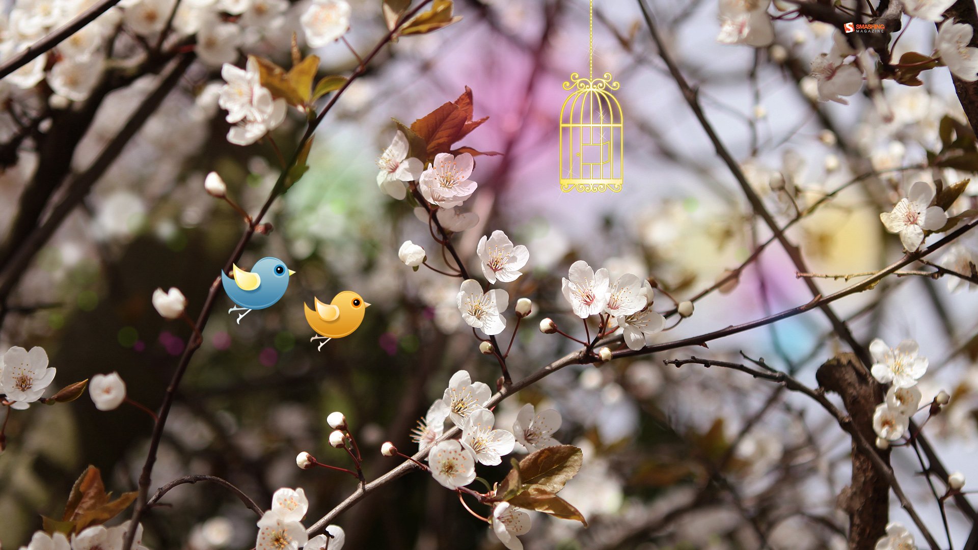 风景,春意盎然,儿童桌面专用