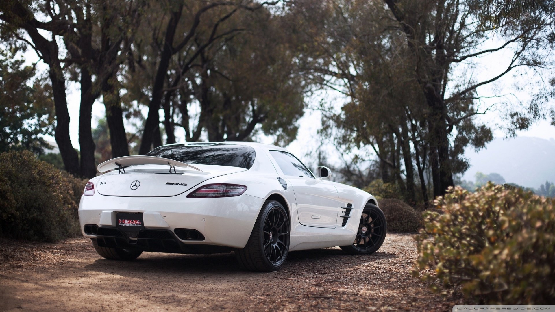 超跑,奔驰,儿童桌面专用