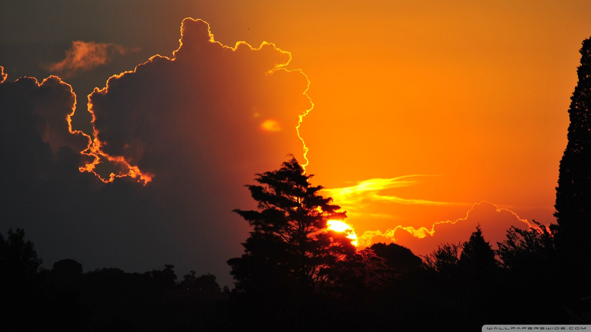 风景,落日余晖,儿童桌面专用