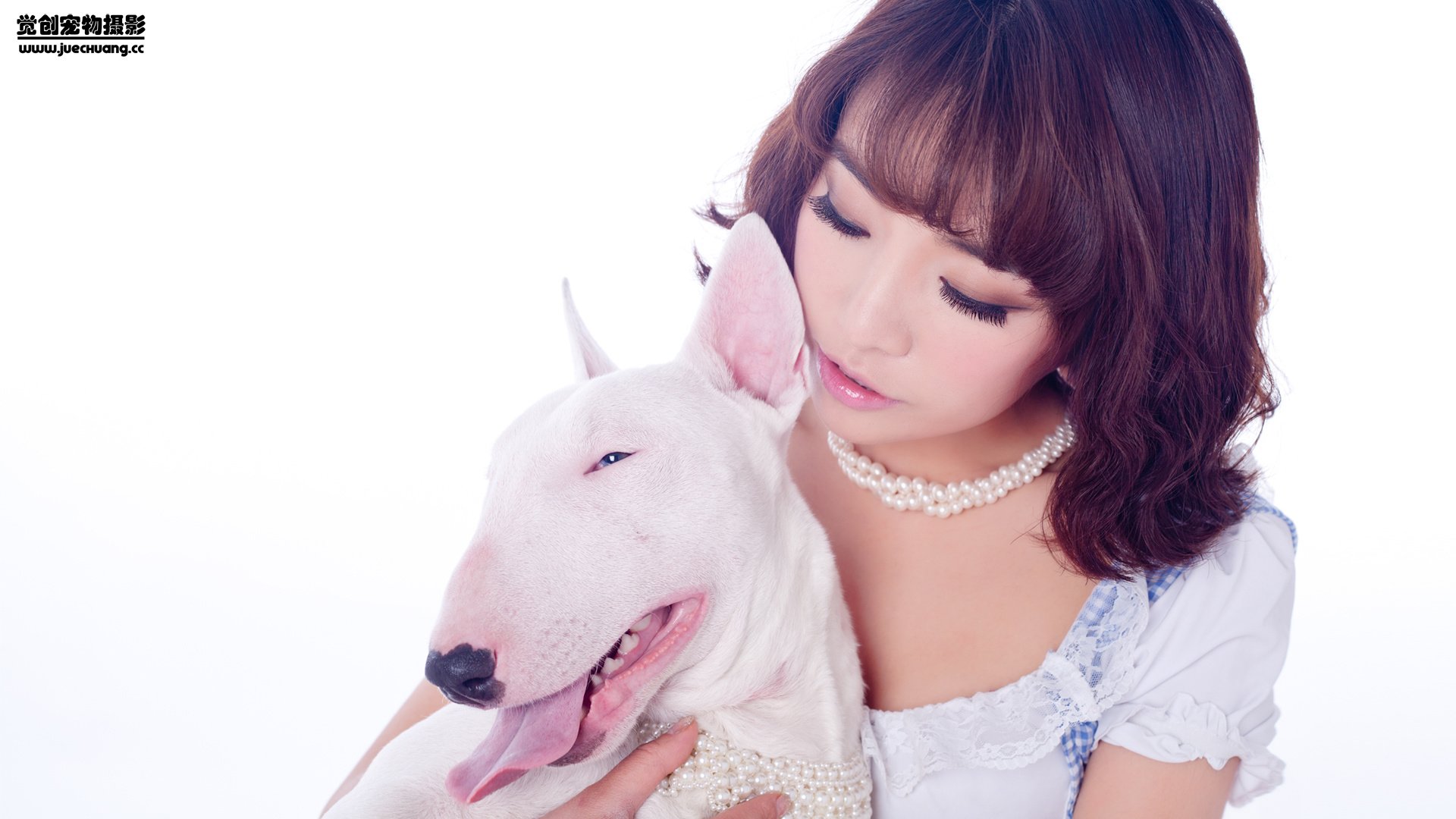 萌宠,汪星人,狗,可爱,卖萌图,古灵精怪,觉创摄影,@觉创摄影,儿童桌面专用