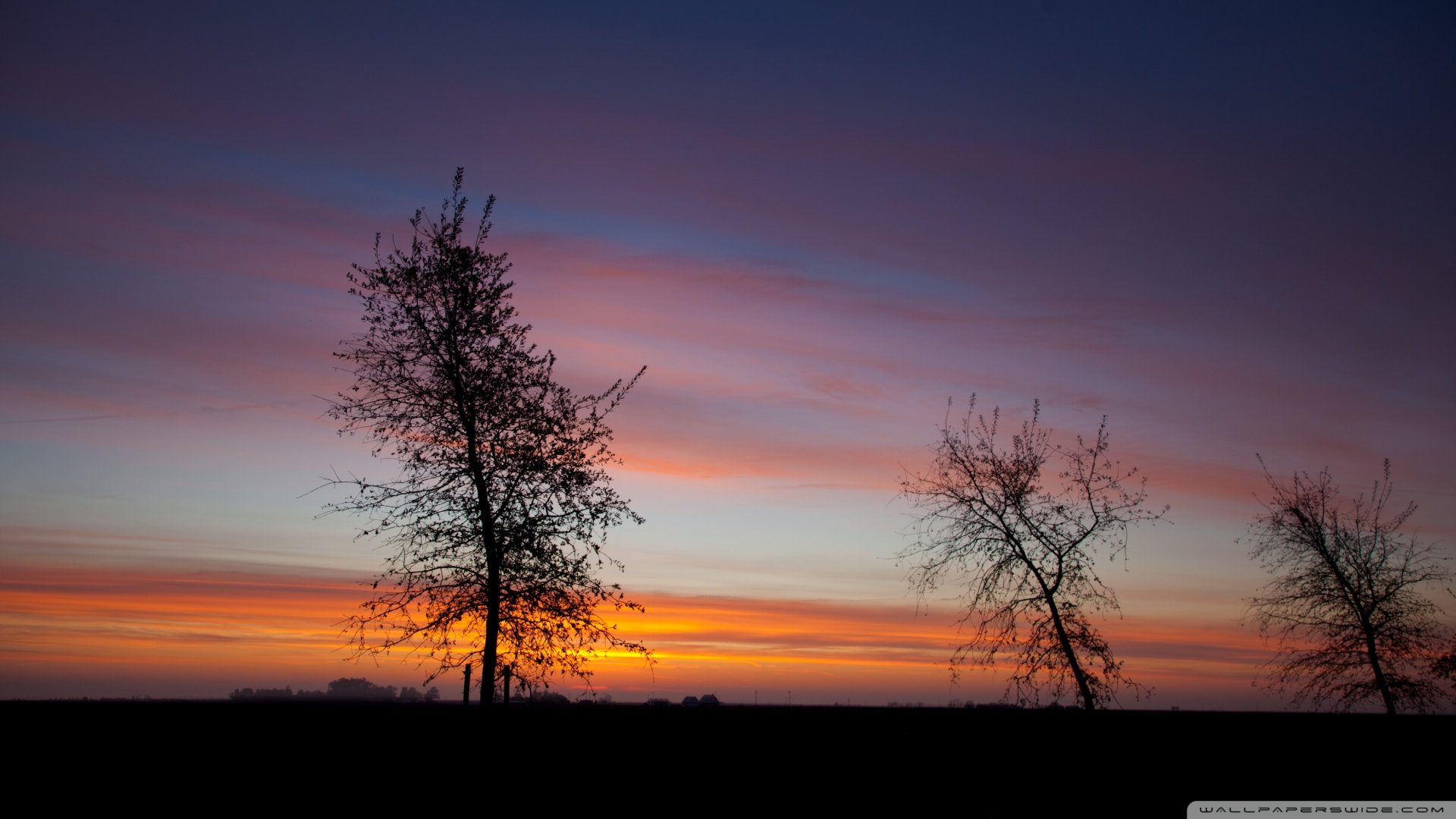 风景,落日余晖,儿童桌面专用