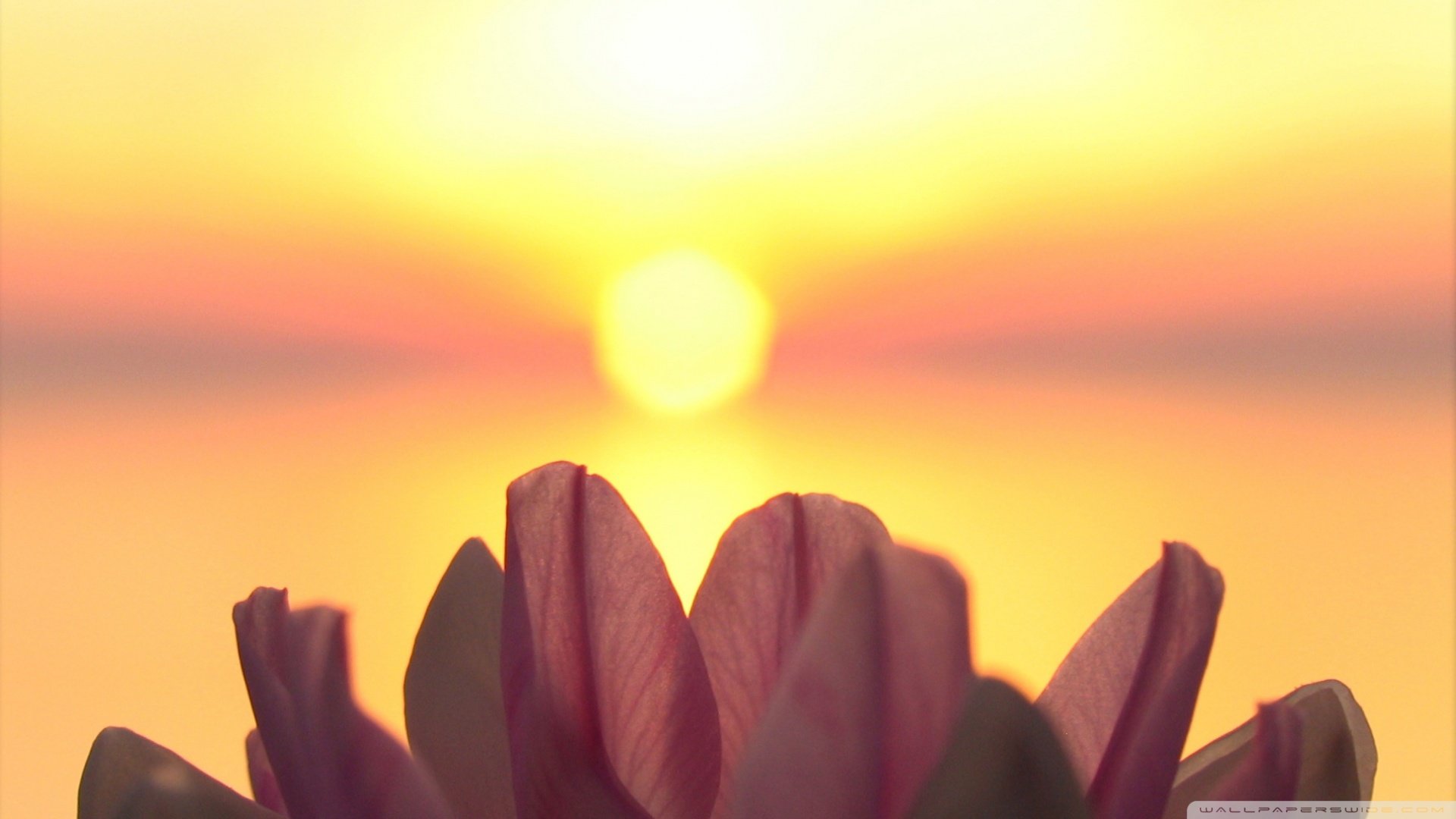 风景,落日余晖,儿童桌面专用