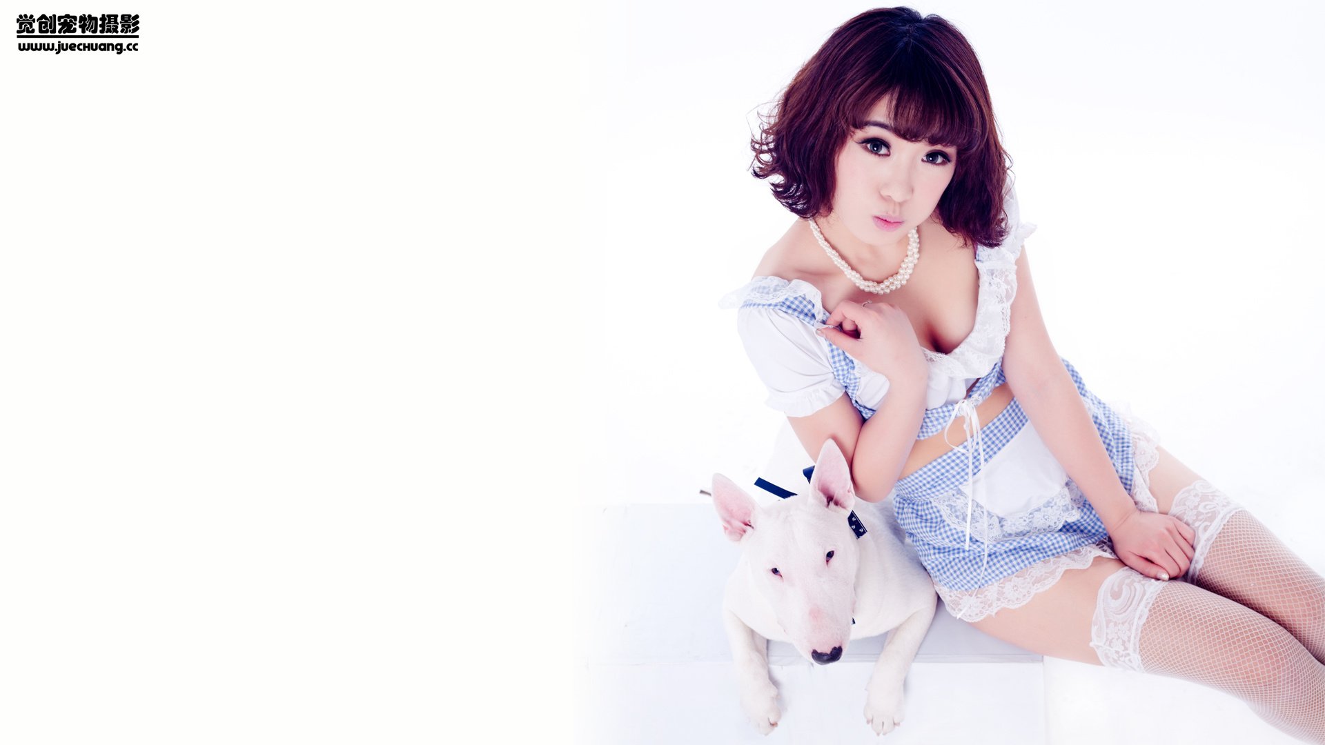 萌宠,汪星人,狗,可爱,卖萌图,古灵精怪,觉创摄影,@觉创摄影,儿童桌面专用