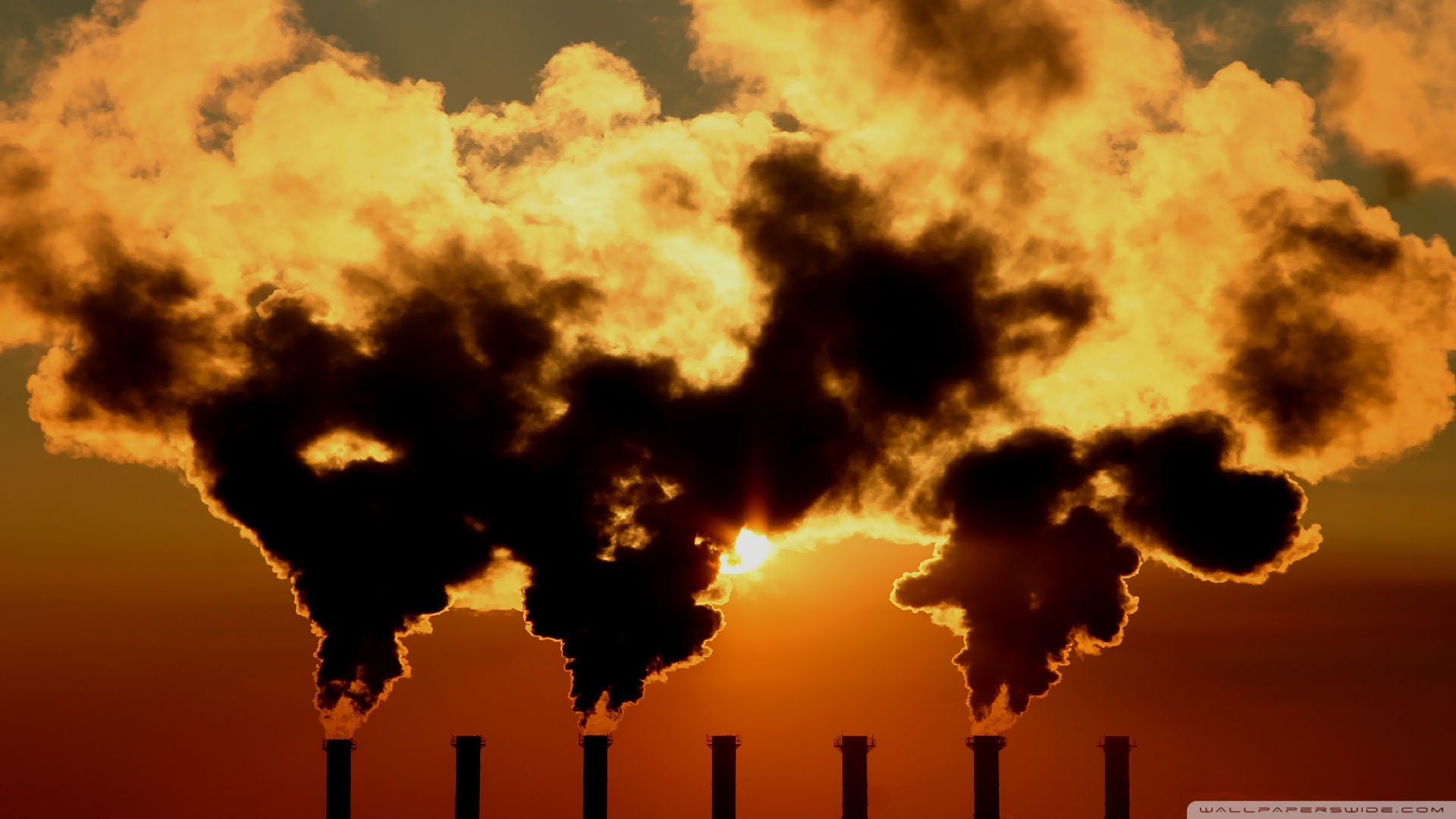 风景,落日余晖,儿童桌面专用