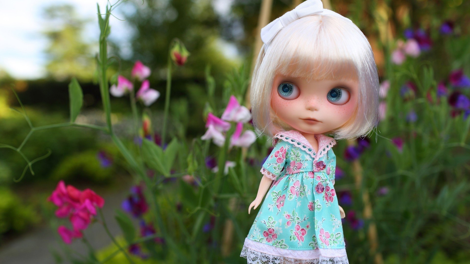 小清新,静物写真,娃娃,儿童桌面专用