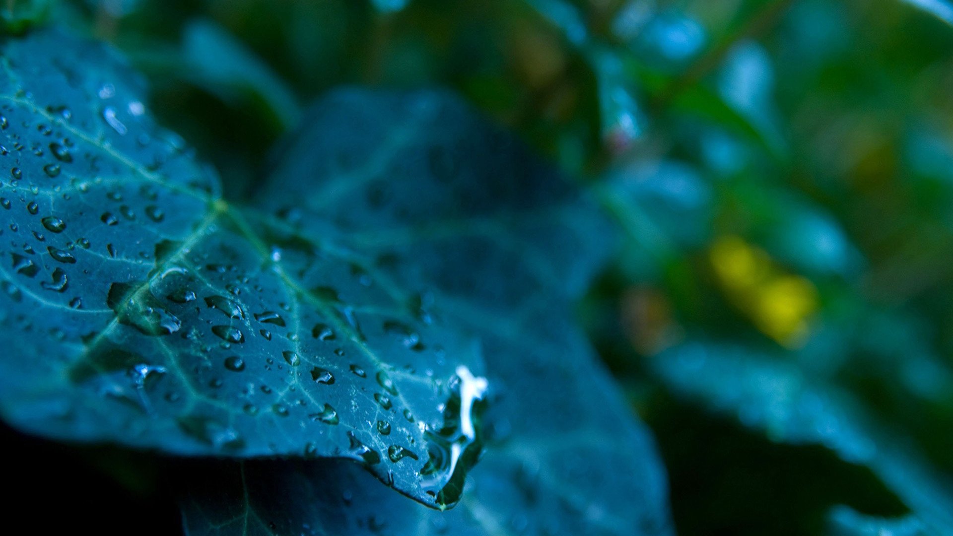 小清新,护眼壁纸,儿童桌面专用