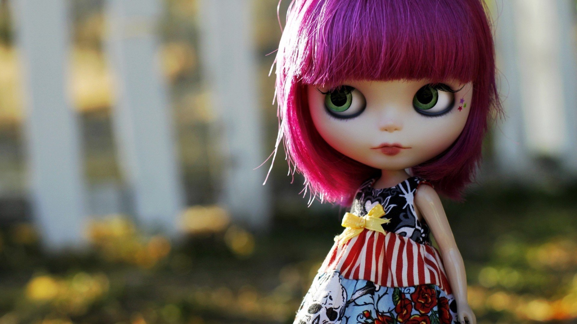 小清新,静物写真,温馨一刻,娃娃,儿童桌面专用