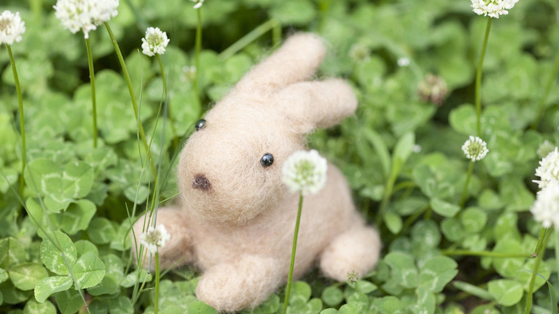 小清新,静物写真,娃娃,兔子,儿童桌面专用