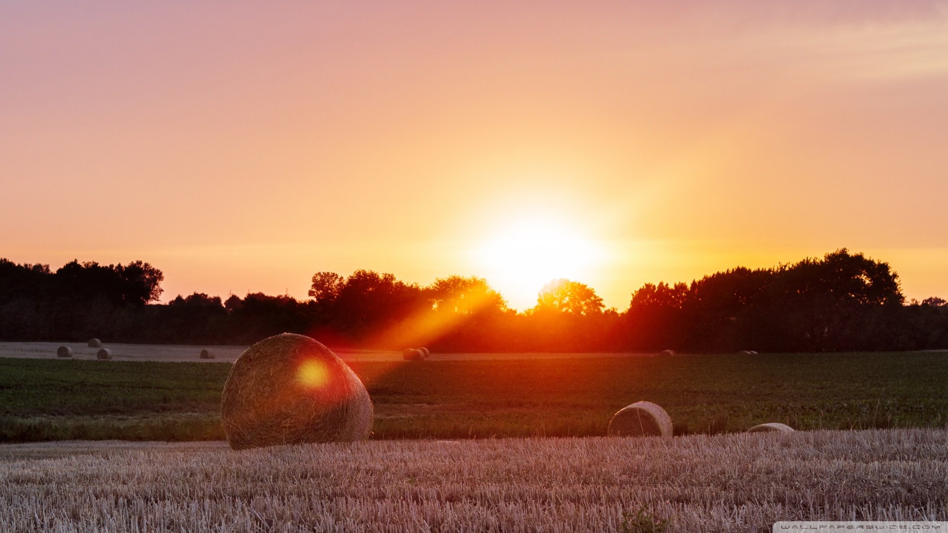 风景,落日余晖,儿童桌面专用