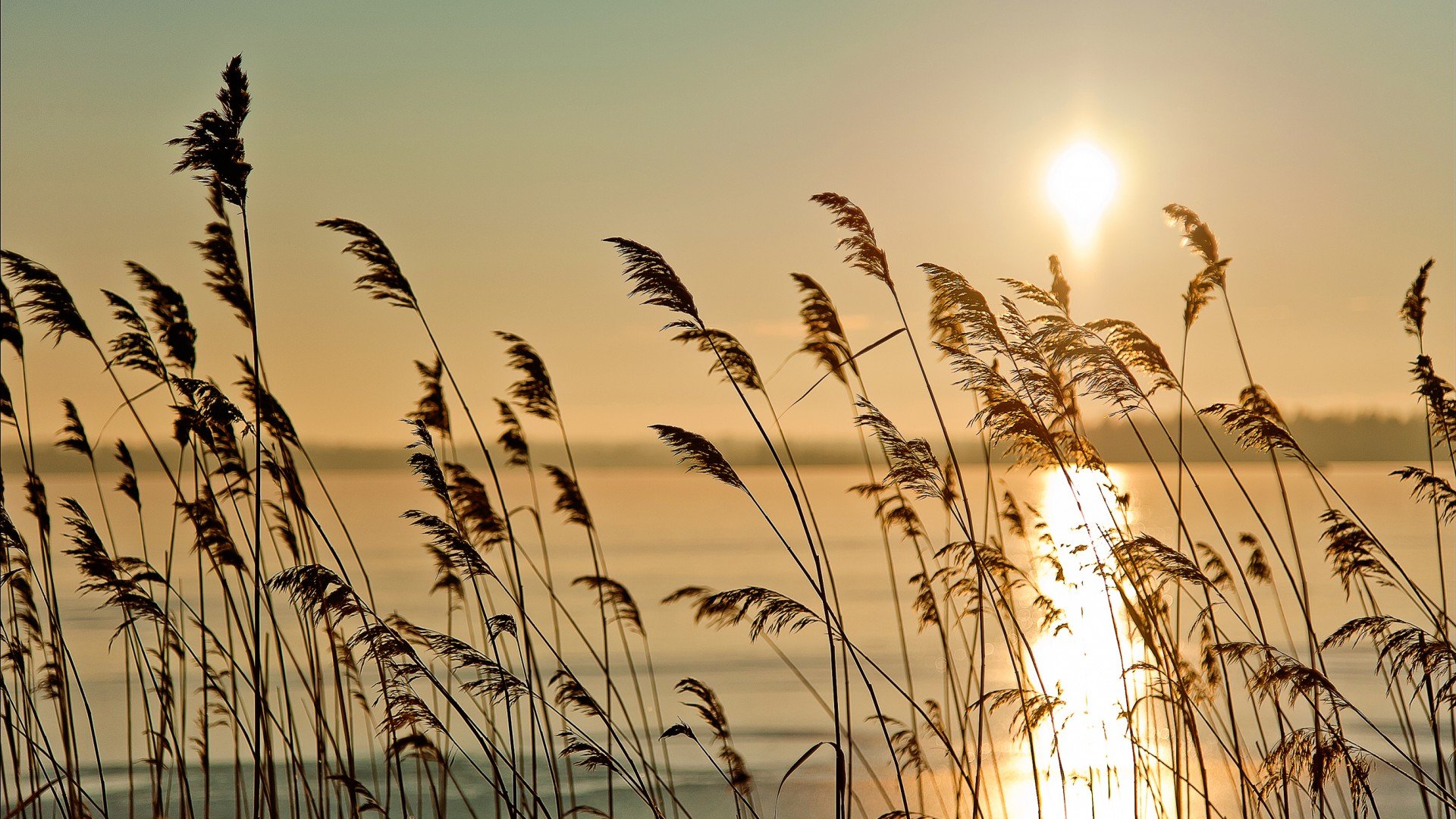 风景,落日,夕阳,自然风光,儿童桌面专用