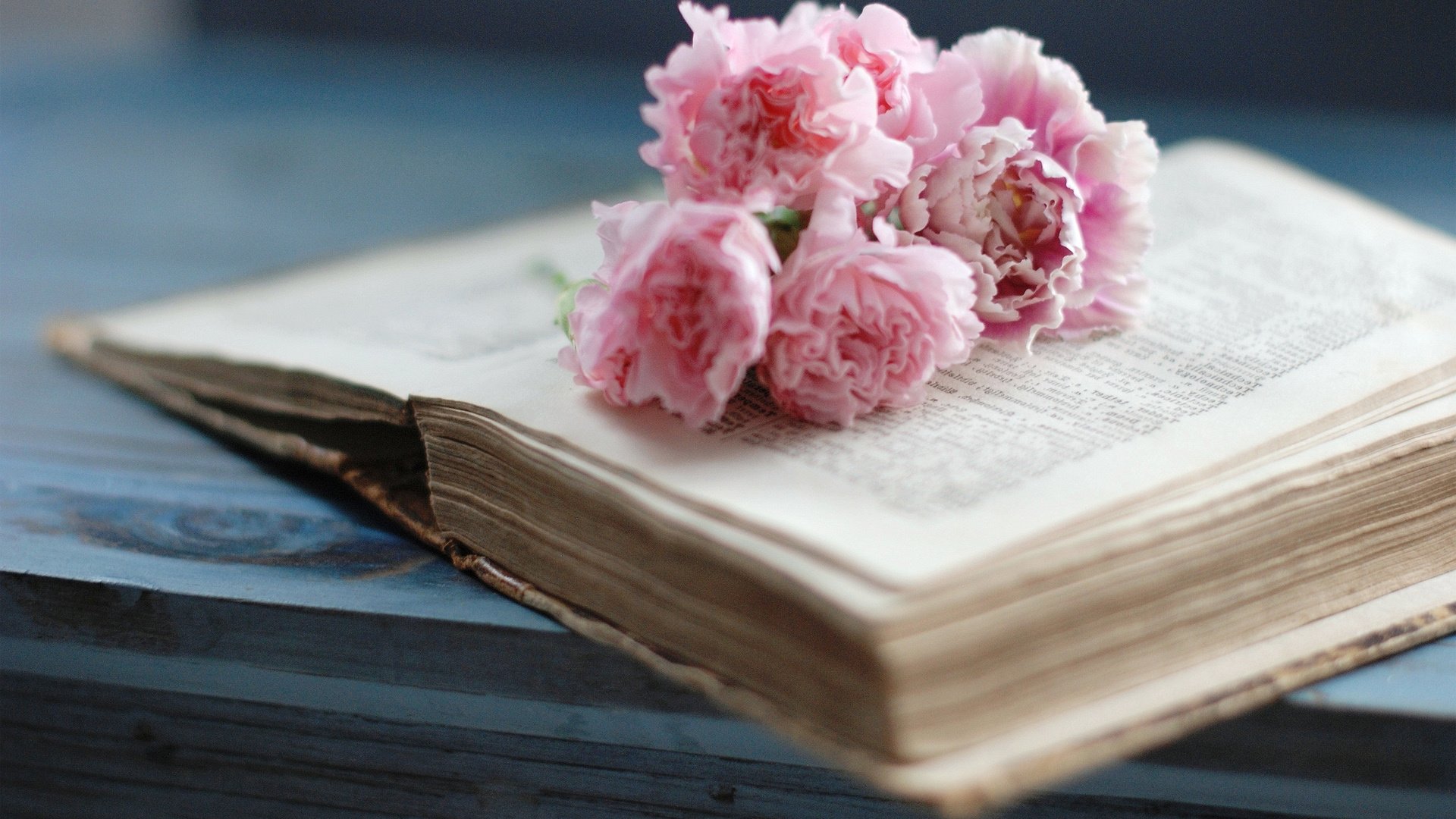 小清新,静物写真,温馨一刻,书,儿童桌面专用