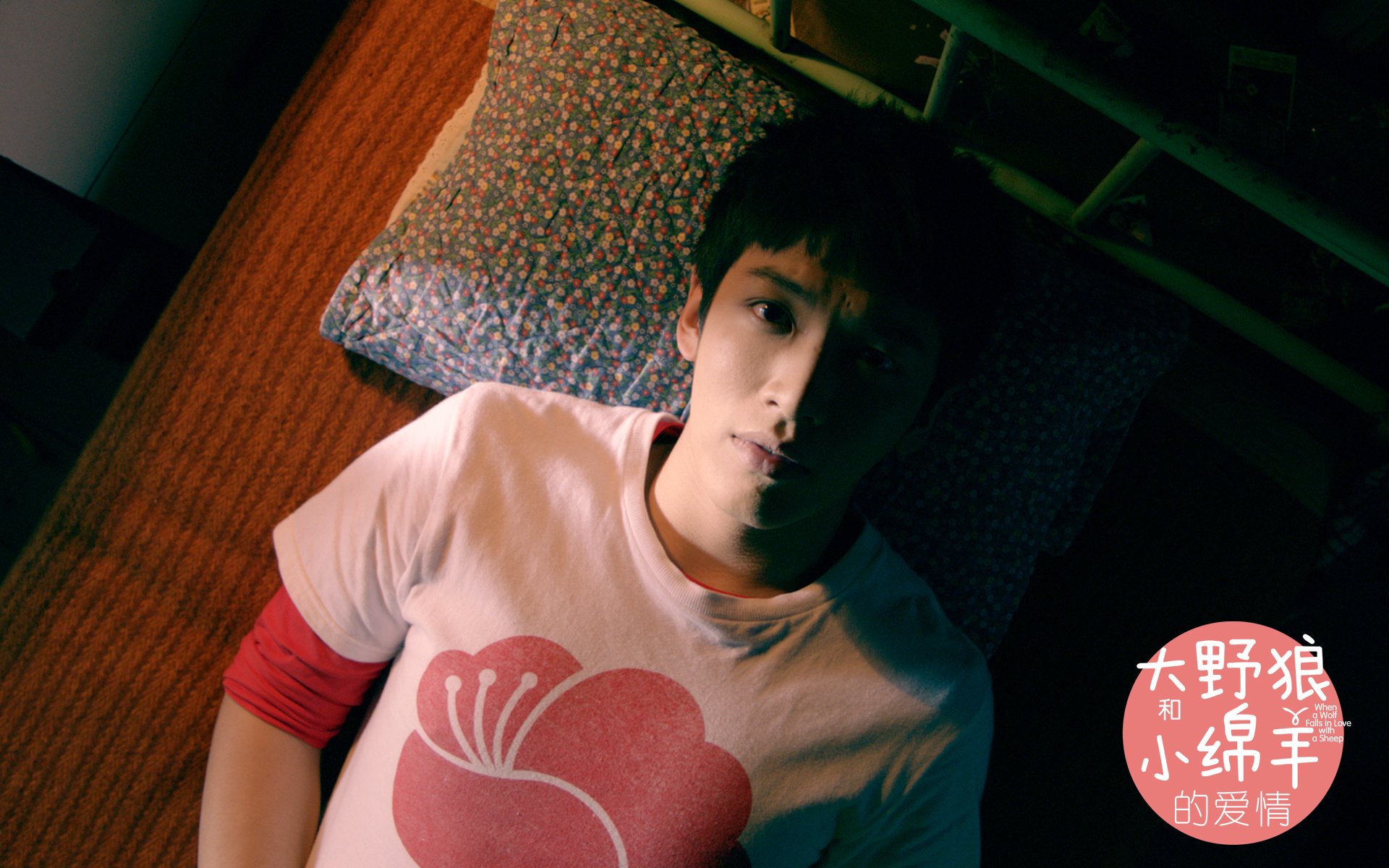 影视,大野狼小绵羊的爱情,独家首发,@大野狼小绵羊的爱情