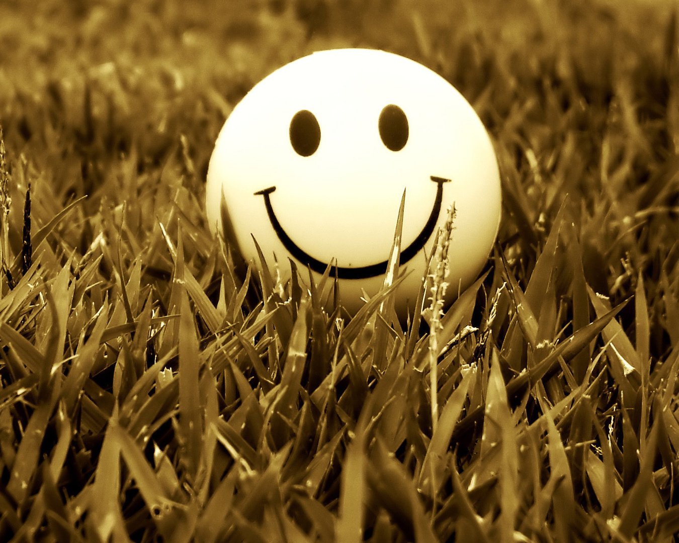 小清新,静物写真,笑脸,儿童桌面专用