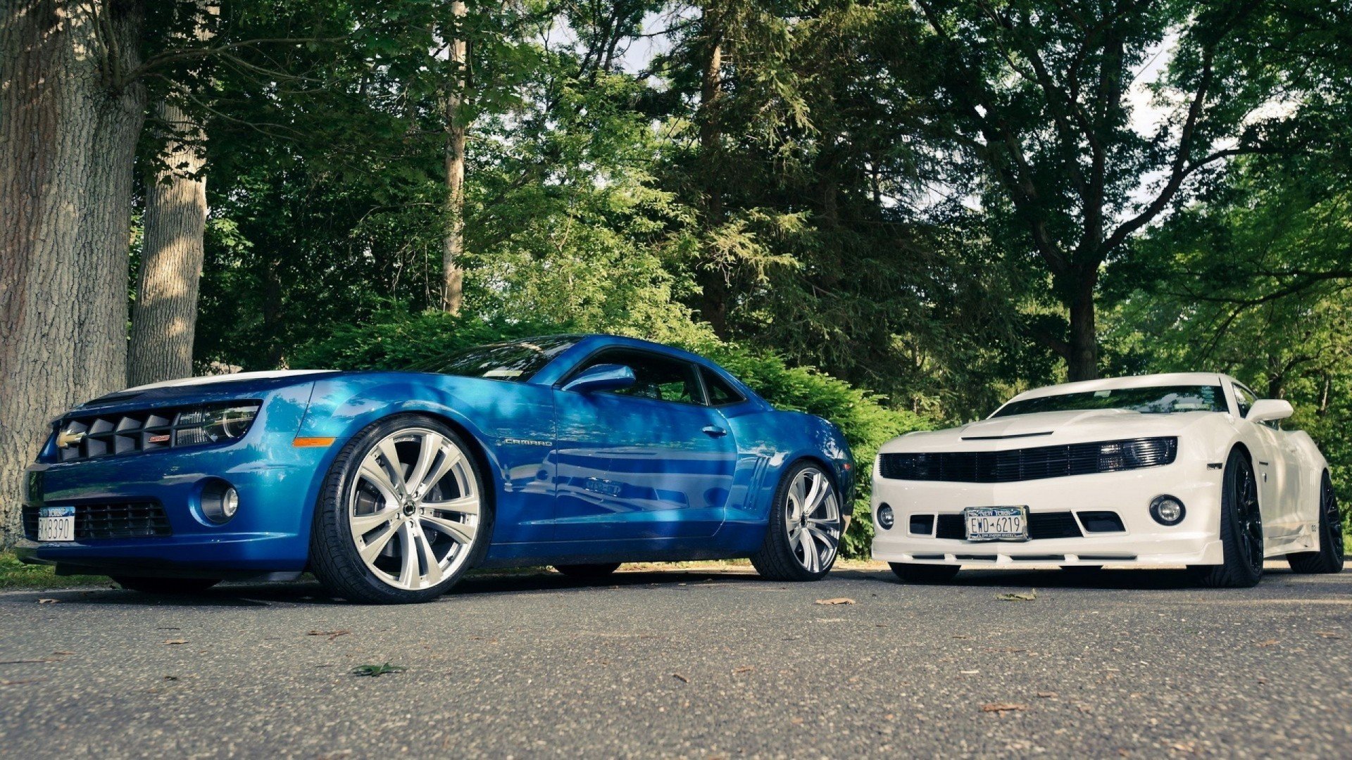 超跑,雪佛兰,儿童桌面专用