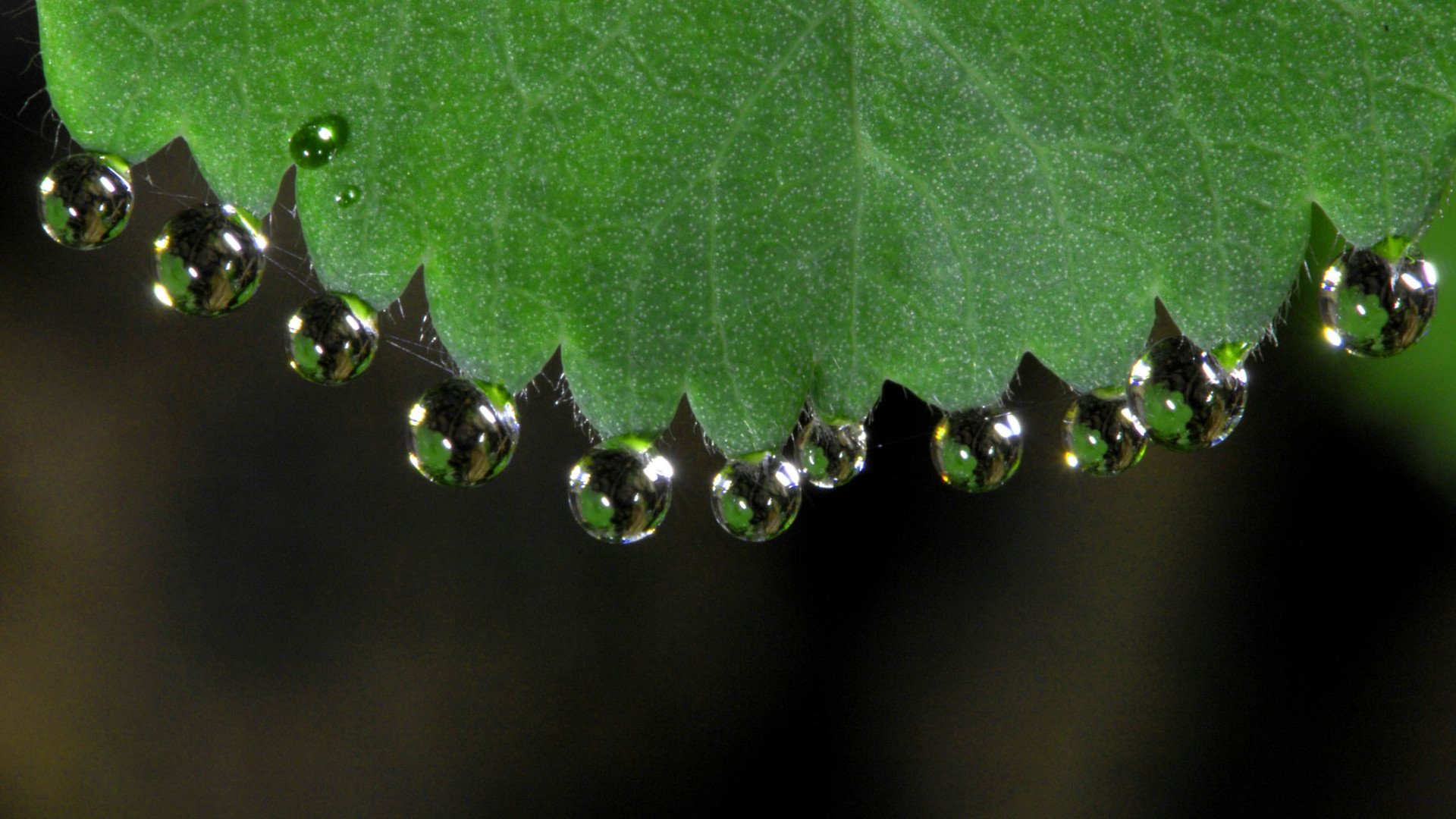 小清新,护眼壁纸,清新淡雅,儿童桌面专用