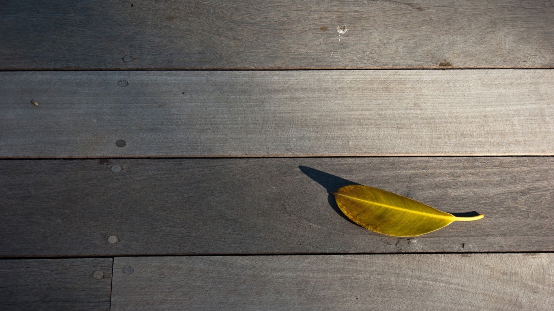 小清新,清新淡雅,儿童桌面专用