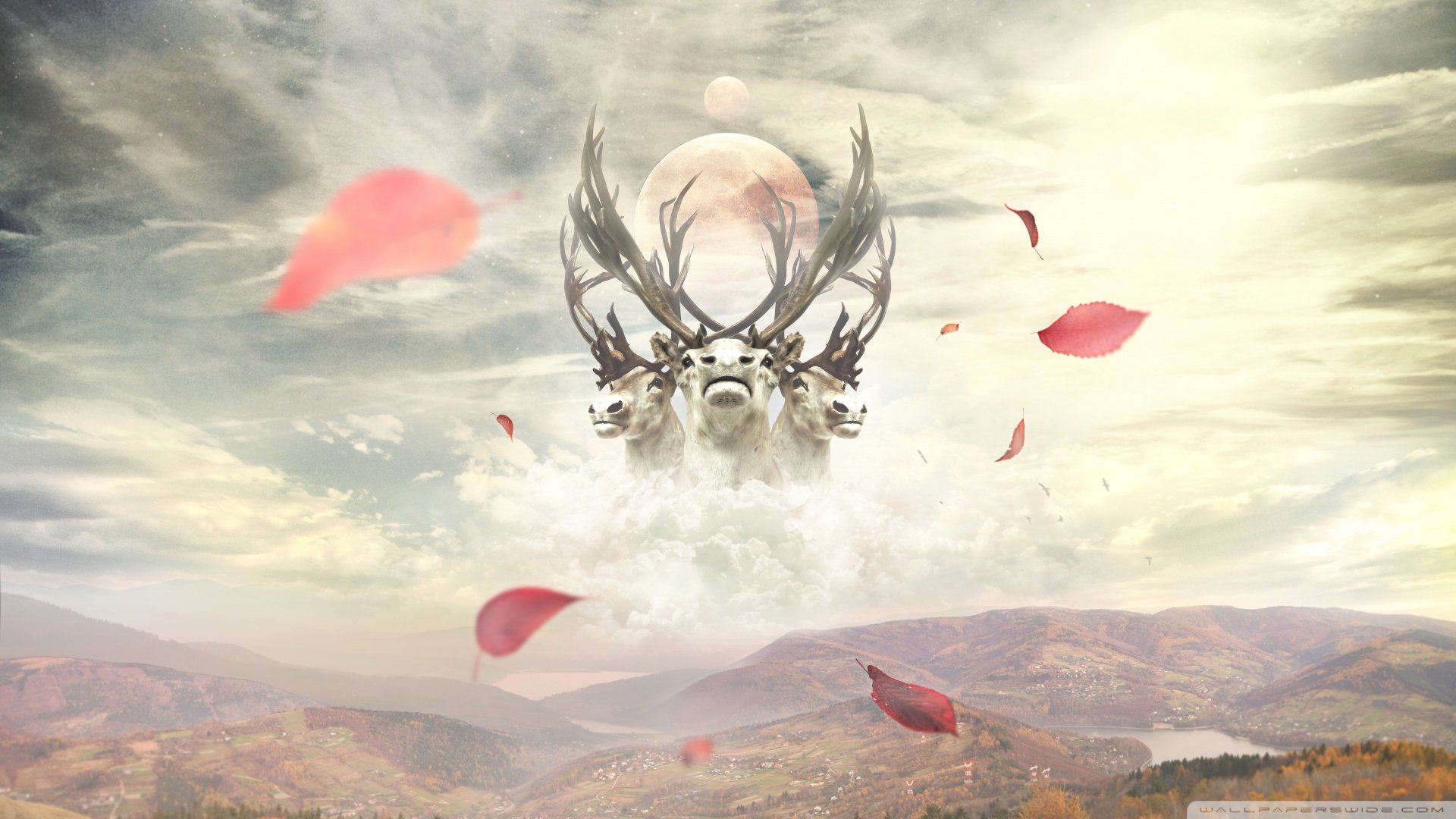 创意,设计,炫酷,炫彩,时尚