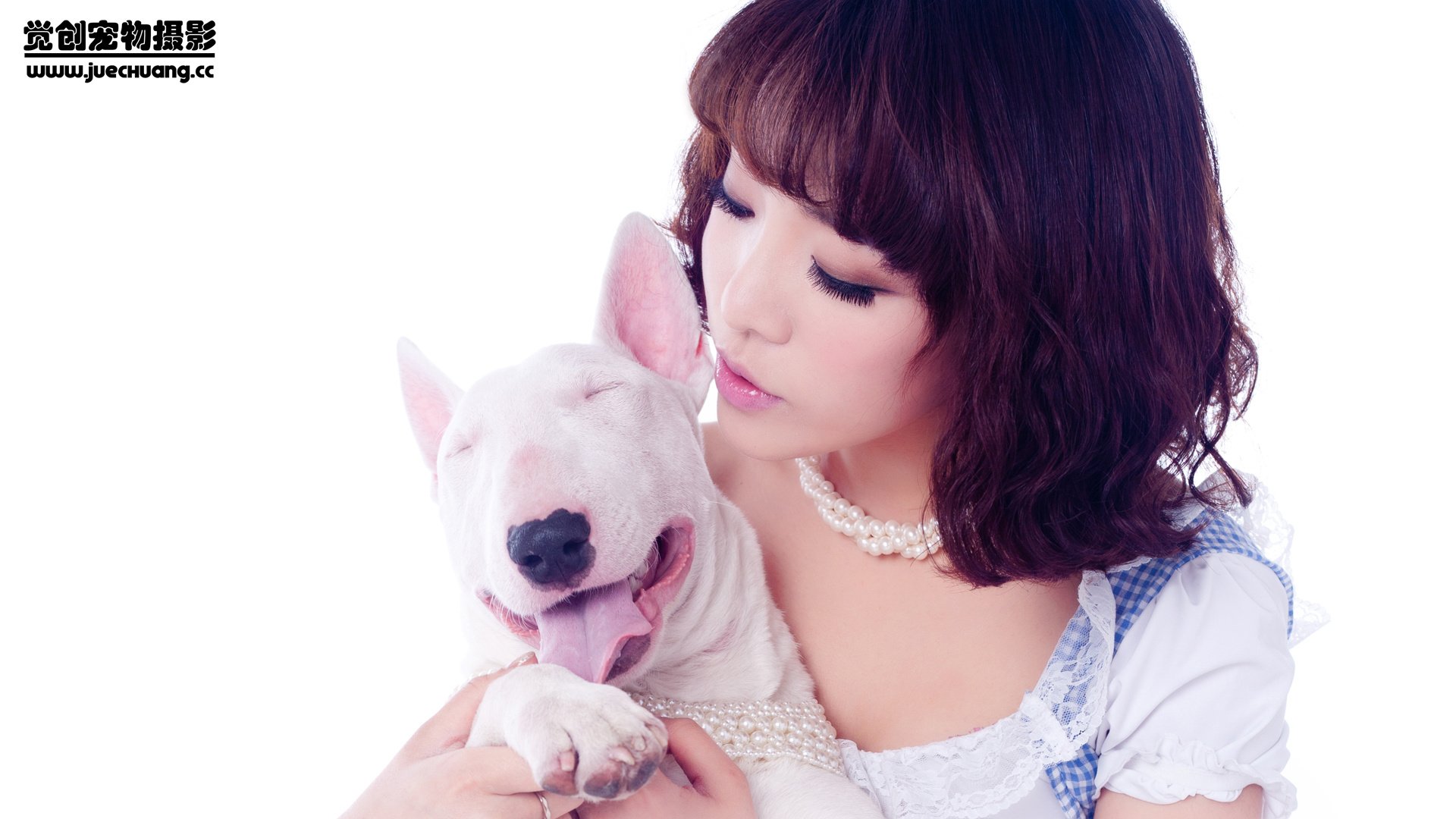 萌宠,狗,汪星人,卖萌图,可爱,独家首发,古灵精怪,觉创摄影,@觉创摄影,儿童桌面专用