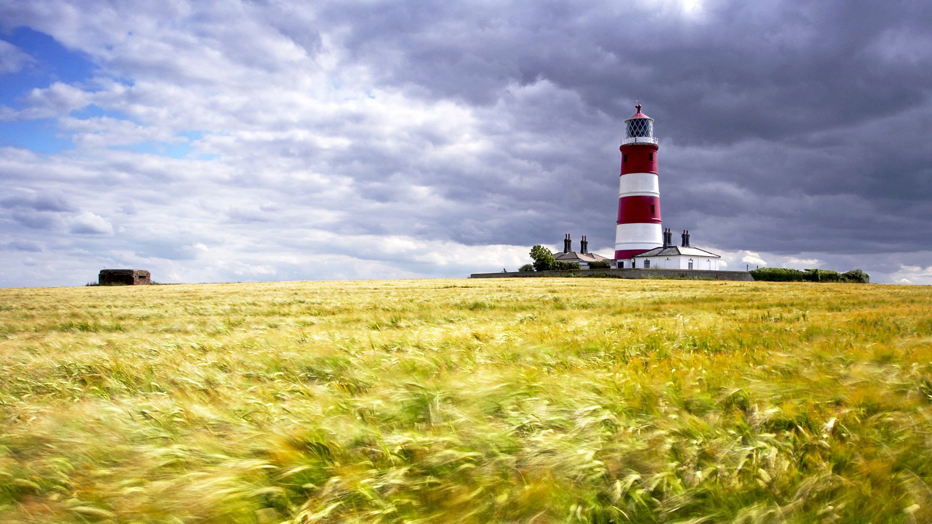 灯塔,花海,蓝天,白云,儿童桌面专用