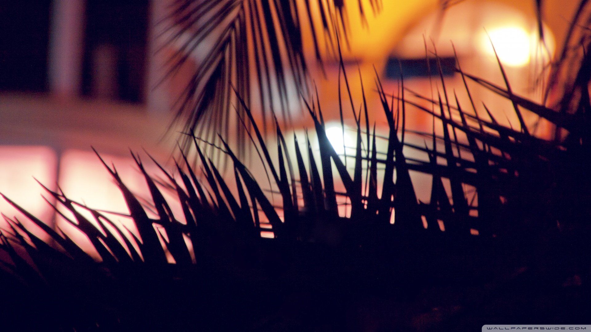 风景,春意盎然,儿童桌面专用