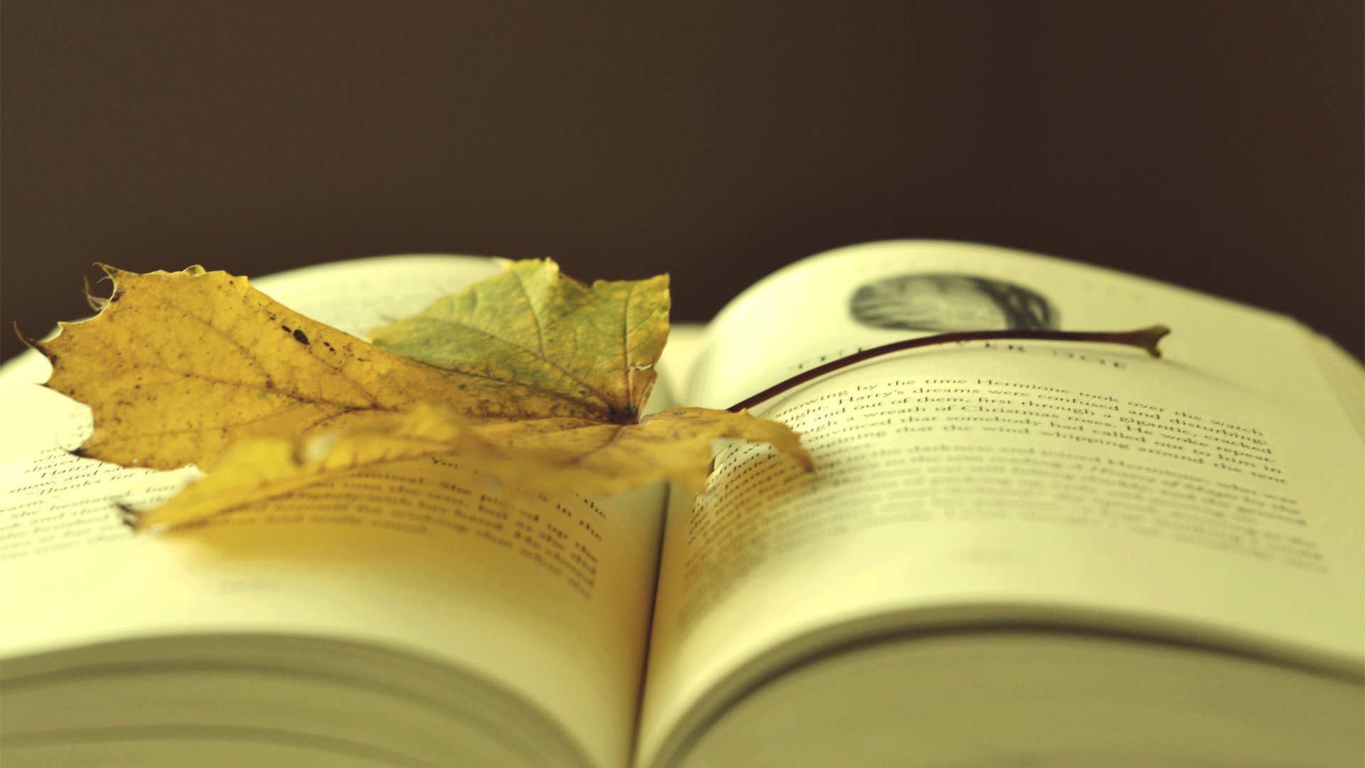 小清新,温馨一刻,静物写真,书,儿童桌面专用