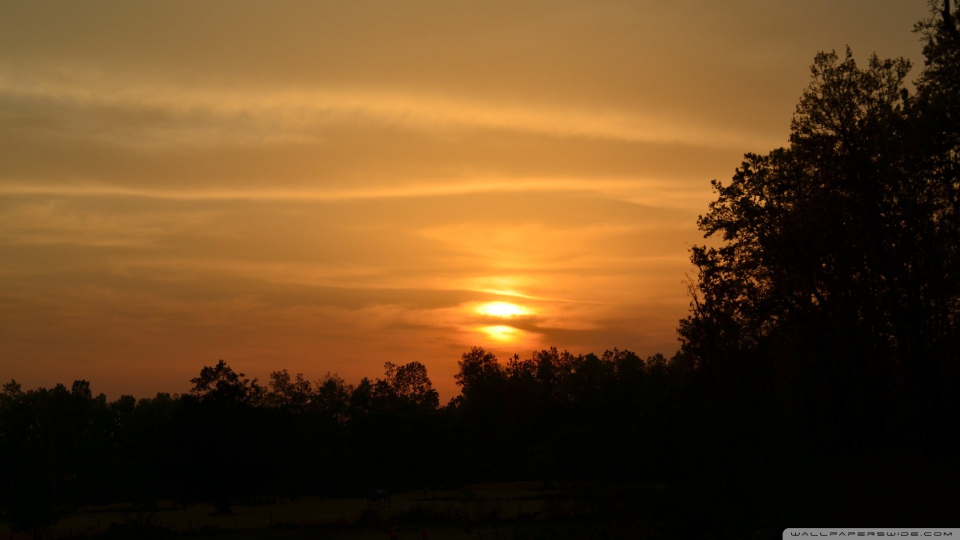 风景,落日余晖,儿童桌面专用