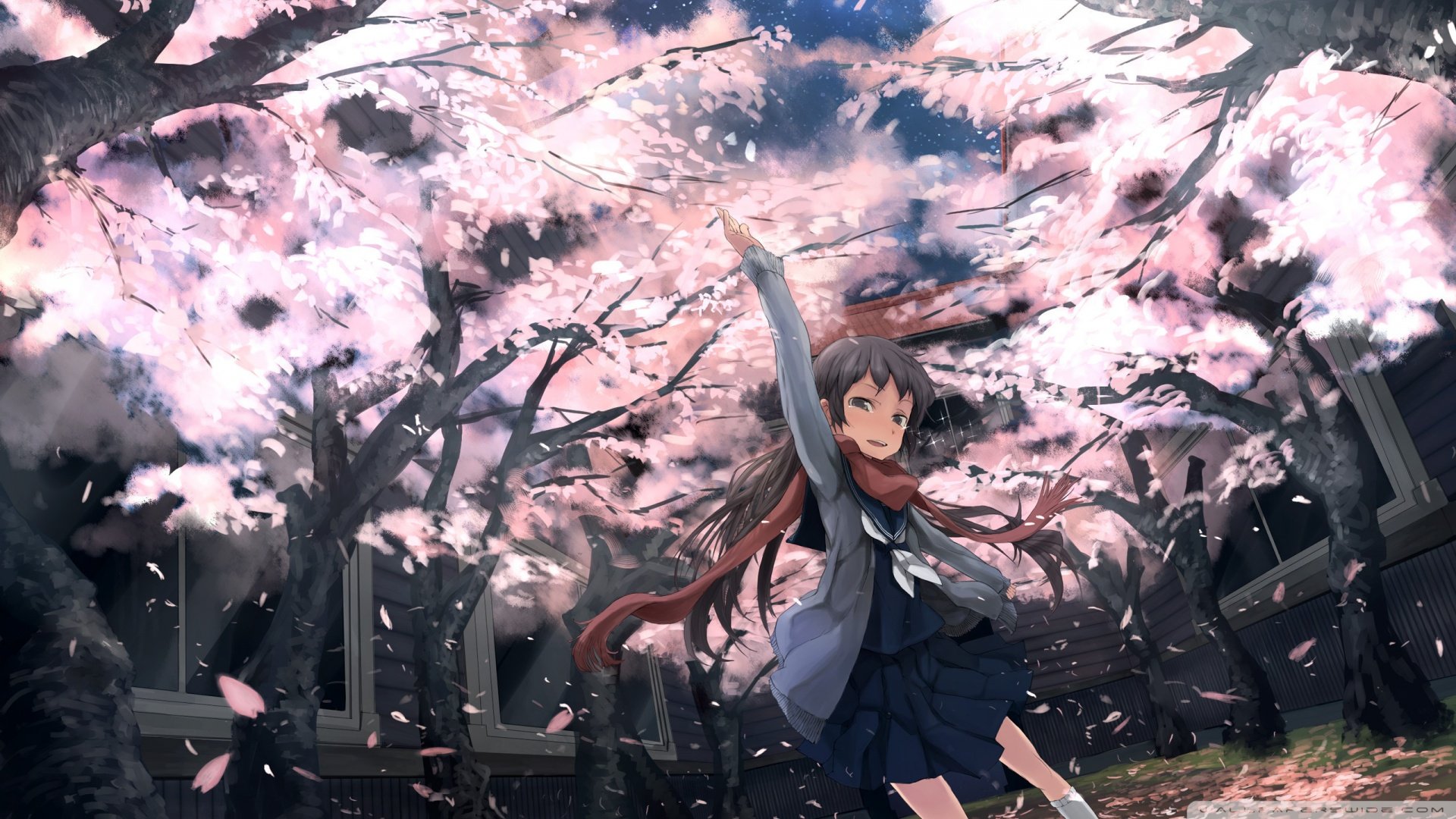 动漫,卡通,少女,萝莉,儿童桌面专用