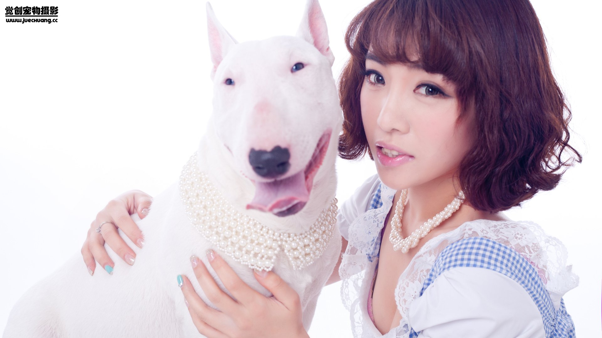 萌宠,汪星人,狗,可爱,卖萌图,古灵精怪,觉创摄影,@觉创摄影,儿童桌面专用