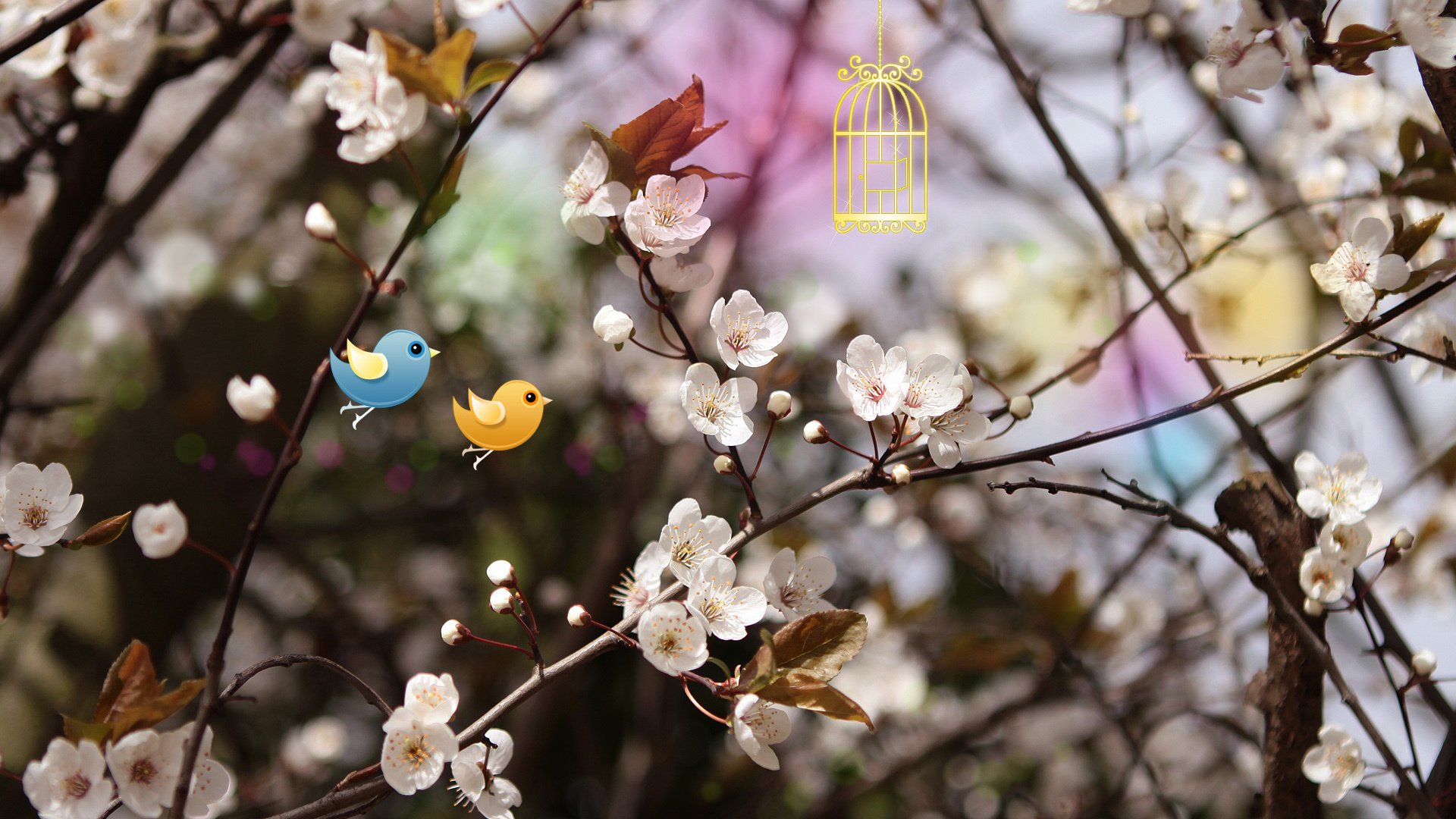 小清新,鸟语花香,花,鸟,儿童桌面专用