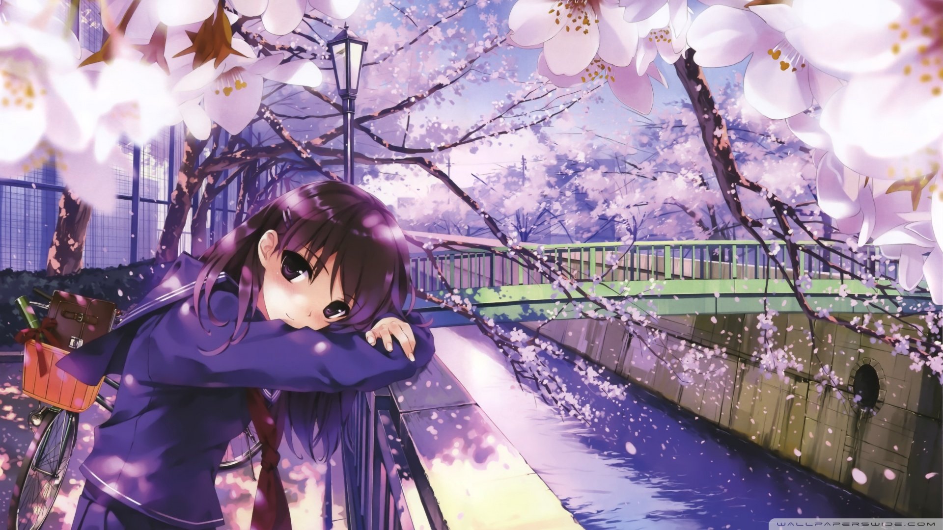 动漫,卡通,少女,萝莉,儿童桌面专用