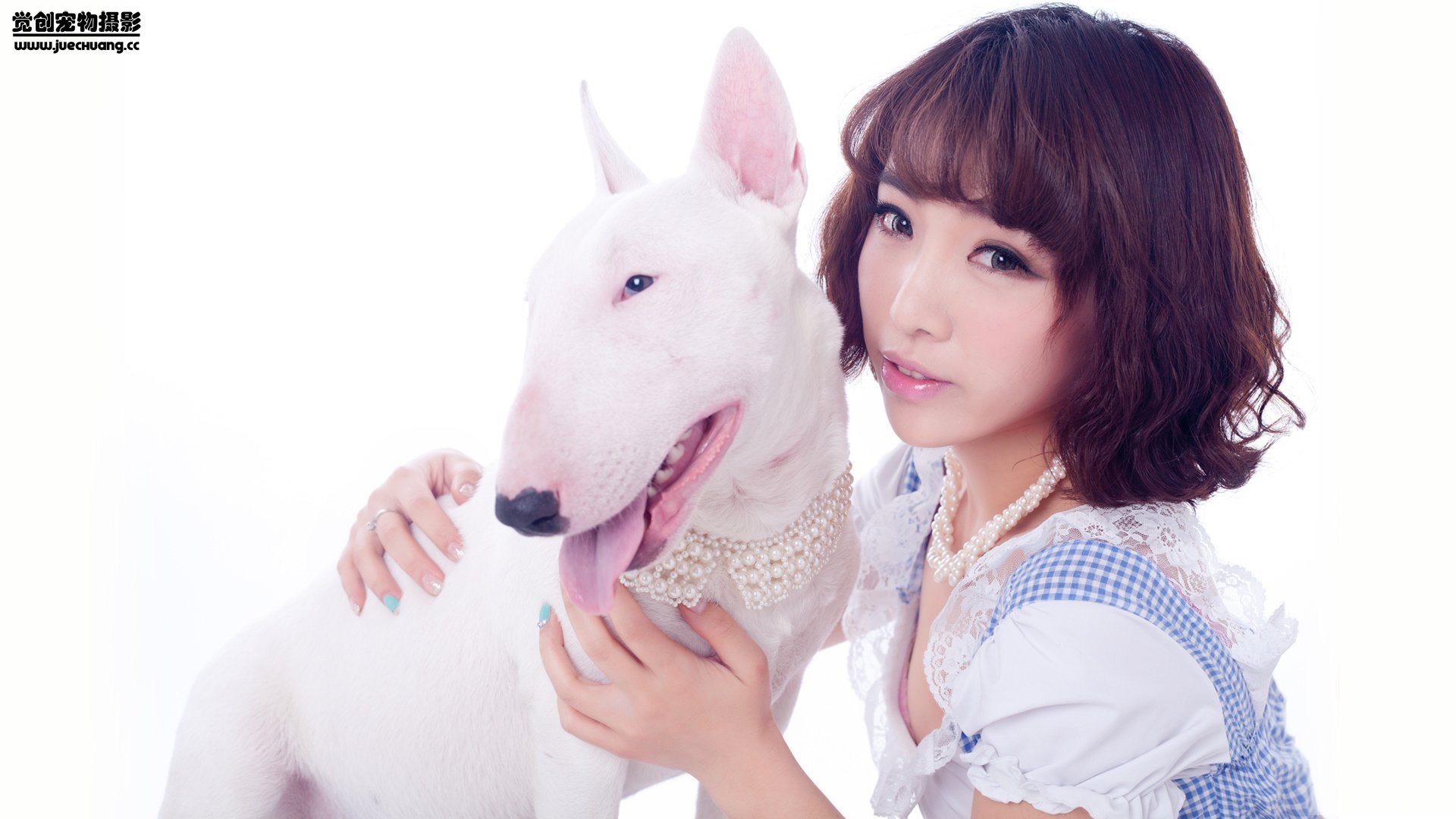 萌宠,汪星人,狗,可爱,卖萌图,古灵精怪,觉创摄影,@觉创摄影,儿童桌面专用