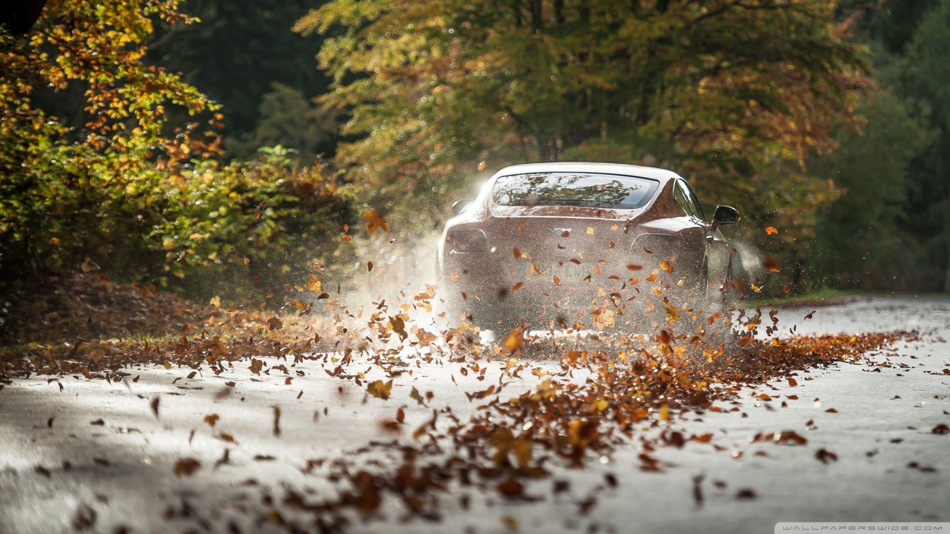 超跑,宾利,儿童桌面专用