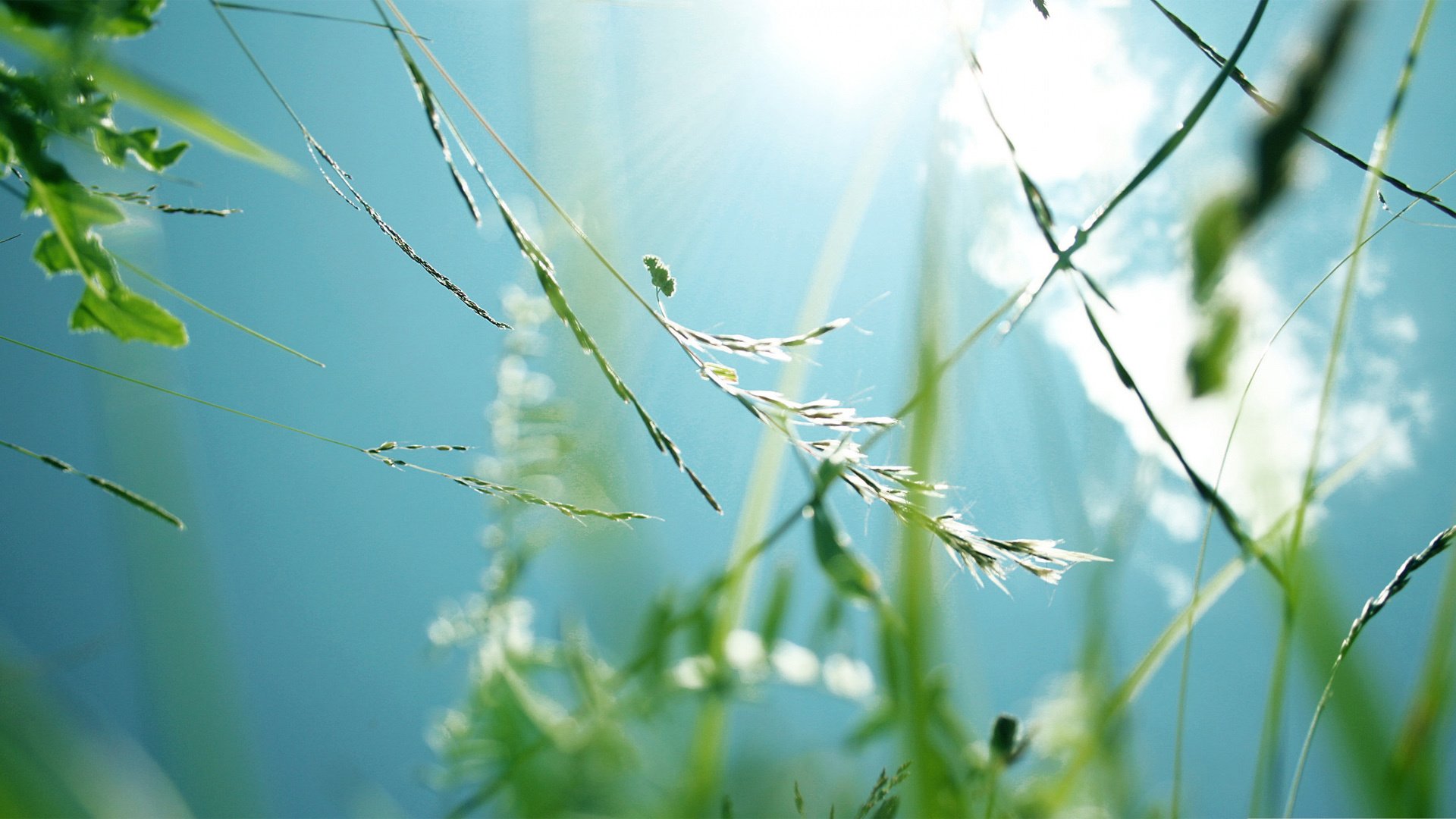 小清新,清新淡雅,儿童桌面专用