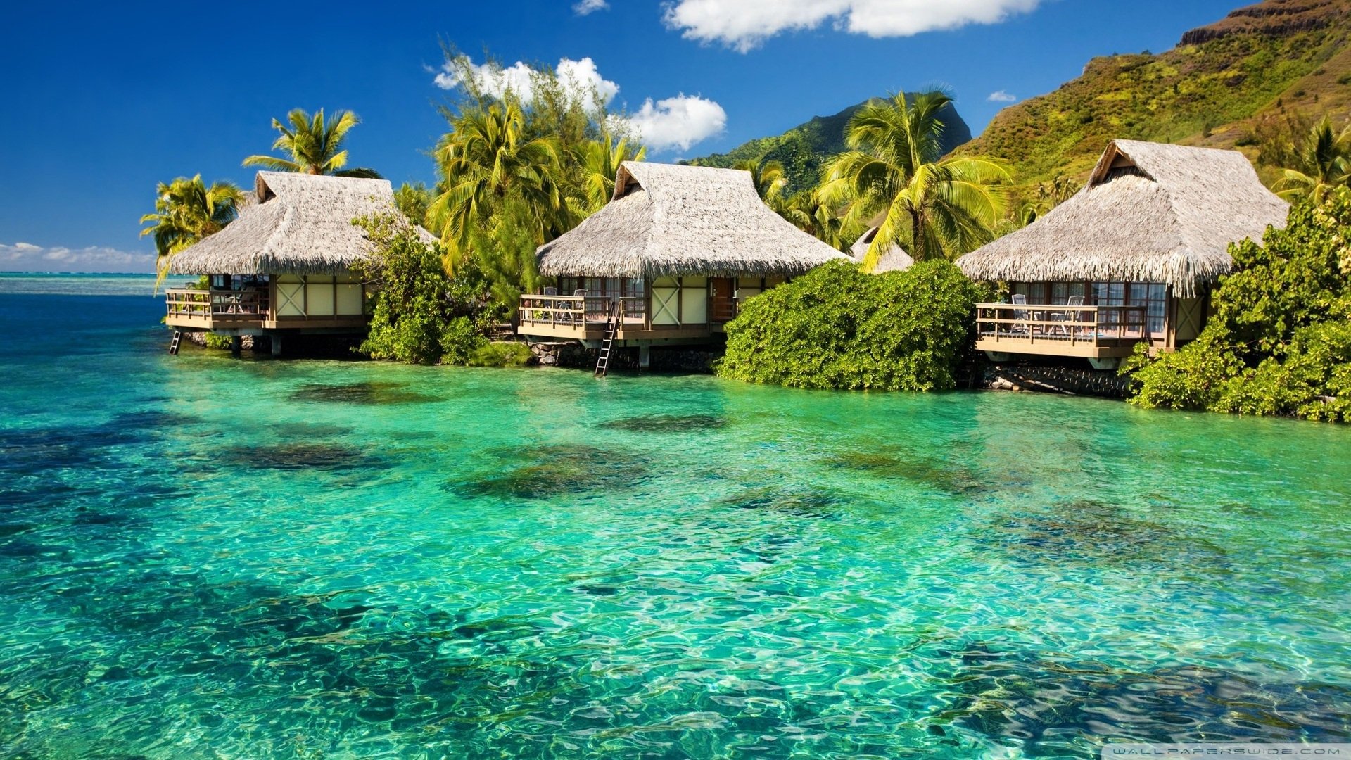 风景,旅游胜地,儿童桌面专用