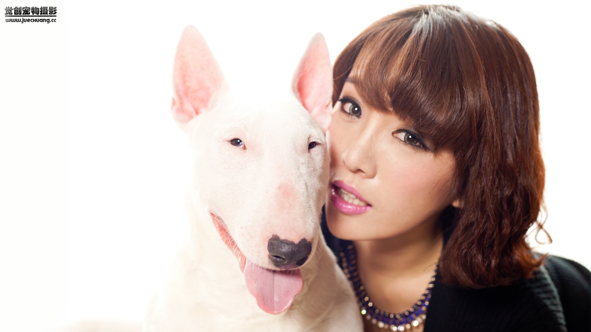 萌宠,汪星人,狗,可爱,卖萌图,古灵精怪,觉创摄影,@觉创摄影,儿童桌面专用