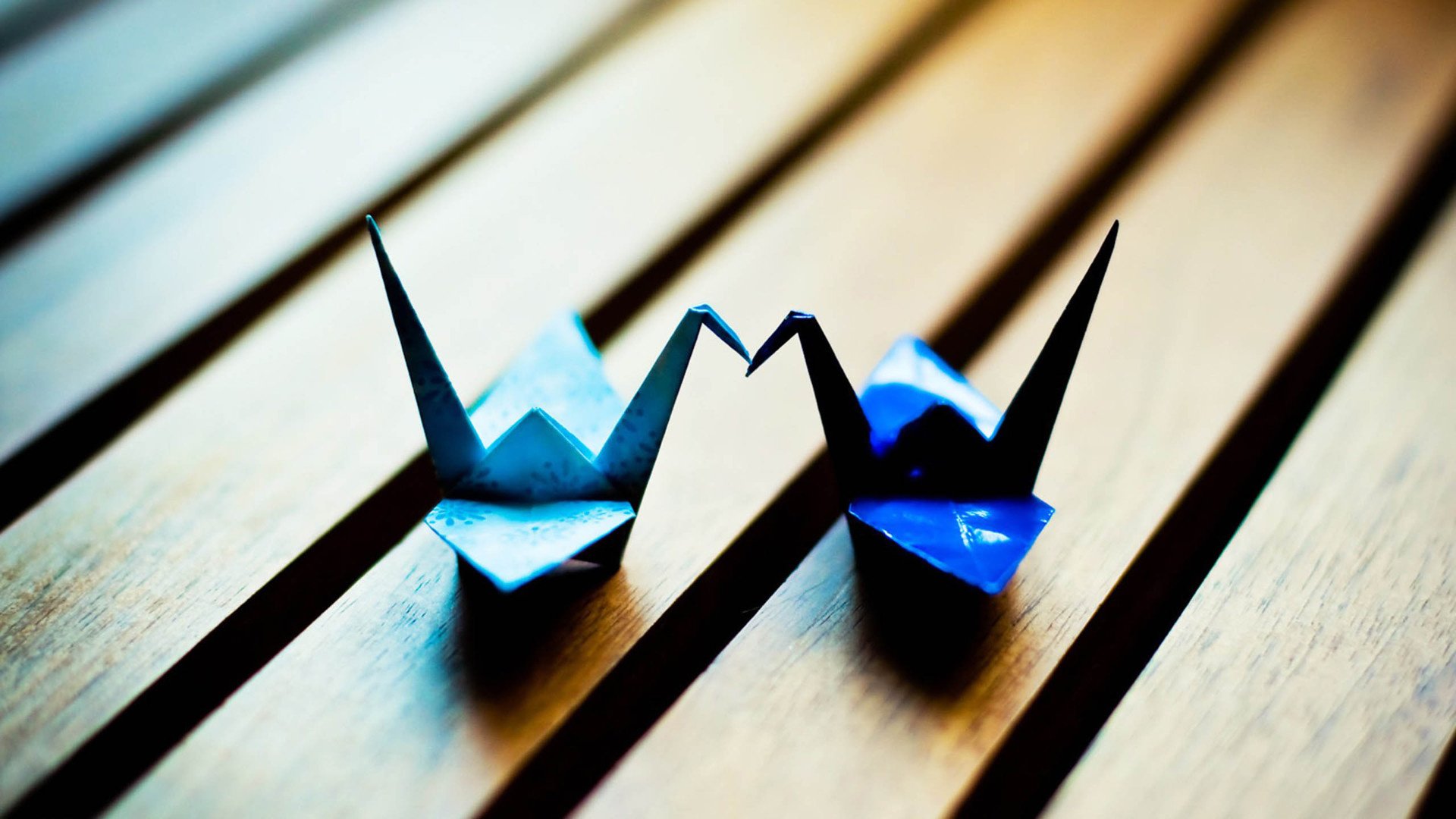 小清新,静物写真,温馨一刻,儿童桌面专用