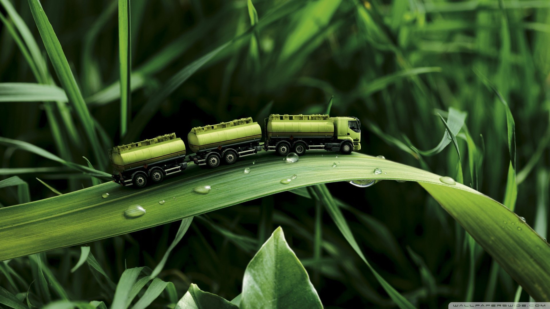 创意,设计,炫酷,炫彩,时尚,儿童桌面专用