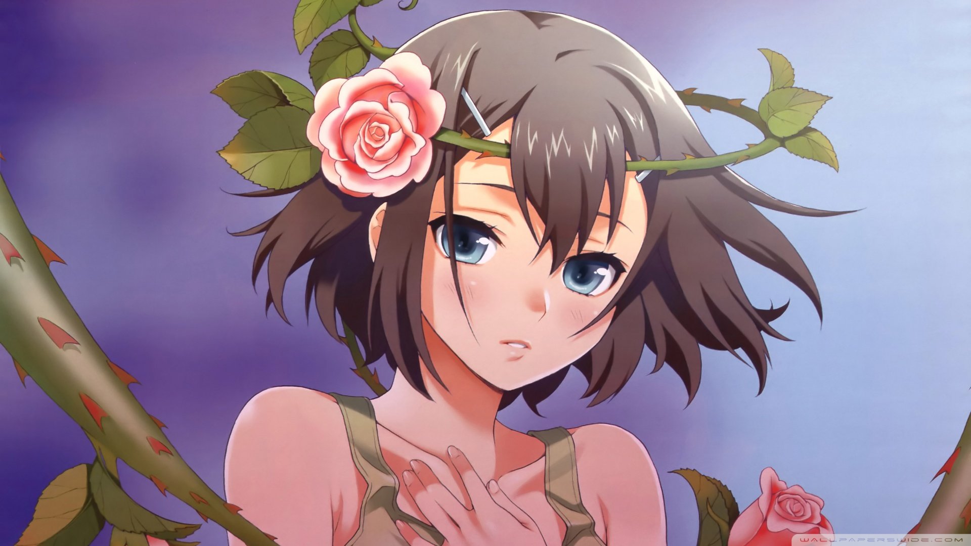 动漫,卡通,插画,手绘,喵星人,猫,可爱,儿童桌面专用