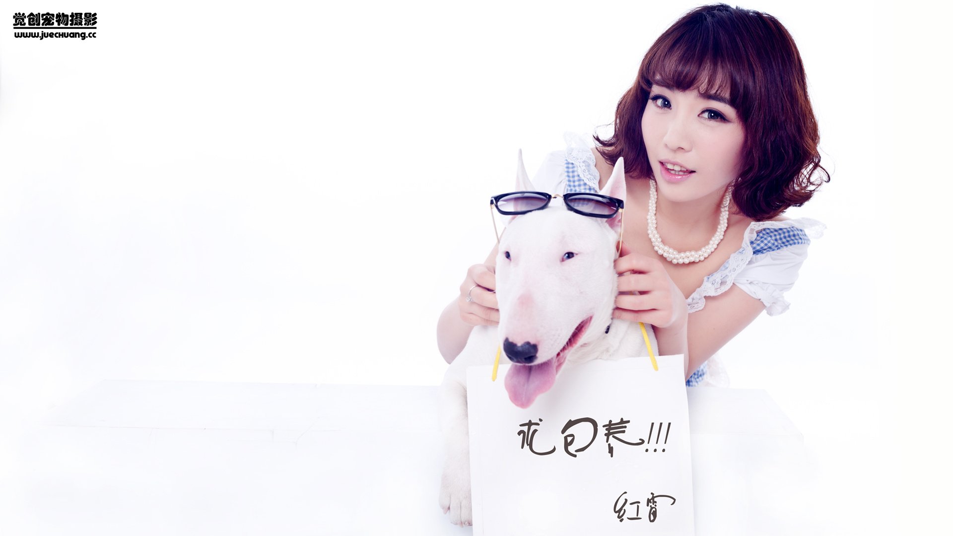 萌宠,狗,汪星人,卖萌图,可爱,独家首发,古灵精怪,觉创摄影,@觉创摄影,儿童桌面专用