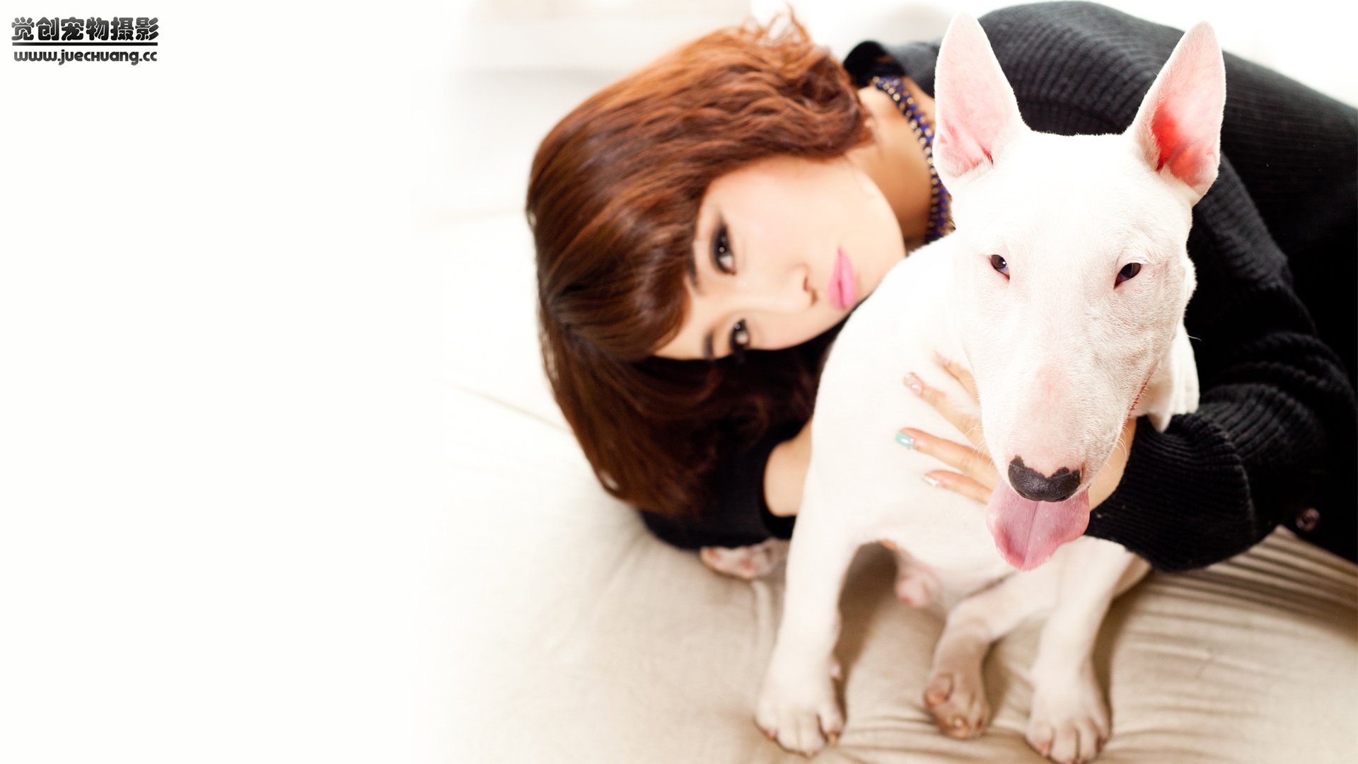 萌宠,汪星人,狗,可爱,卖萌图,古灵精怪,觉创摄影,@觉创摄影,儿童桌面专用