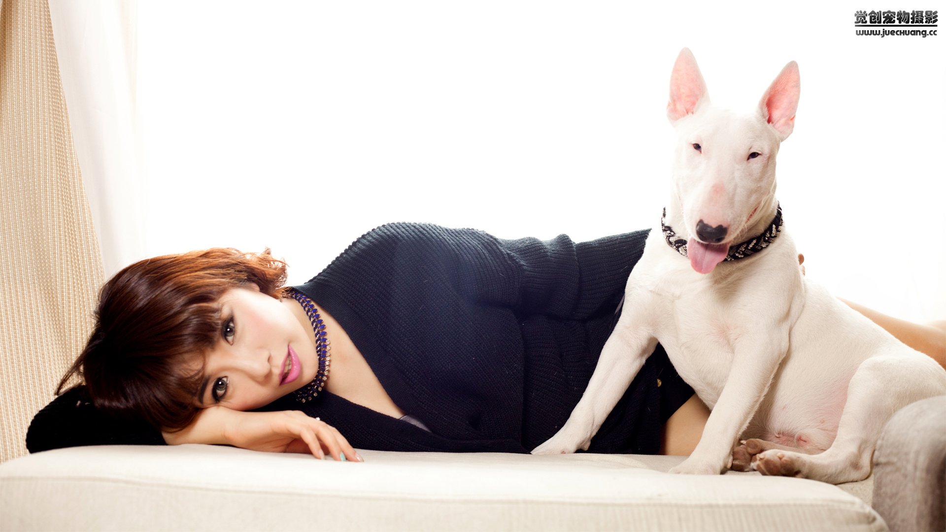 萌宠,狗,汪星人,卖萌图,可爱,独家首发,古灵精怪,觉创摄影,@觉创摄影,儿童桌面专用