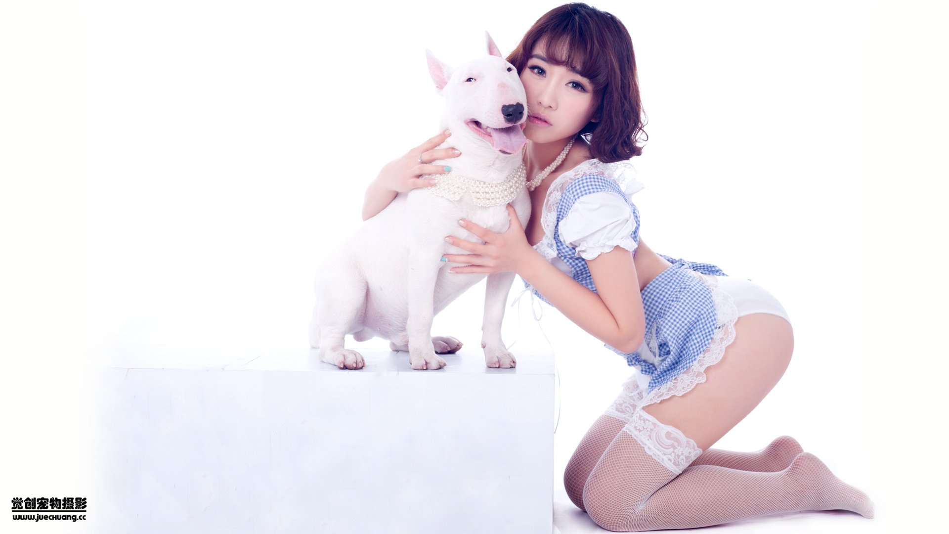 萌宠,汪星人,狗,可爱,卖萌图,古灵精怪,觉创摄影,@觉创摄影,儿童桌面专用