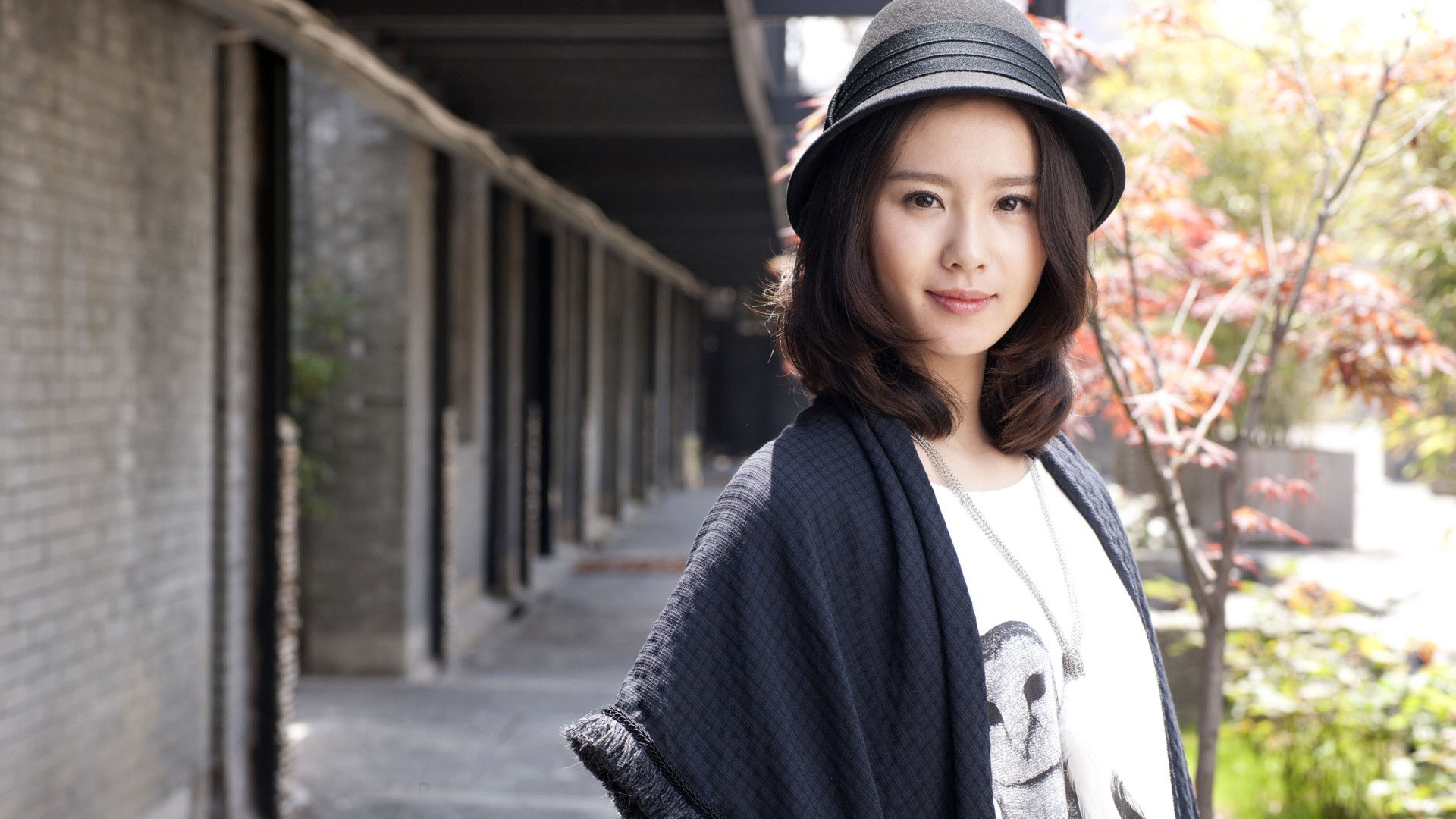 明星,刘诗诗,@刘诗诗