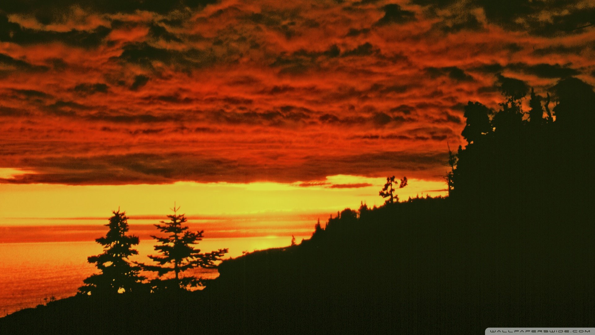 风景,落日余晖,落日,夕阳,儿童桌面专用