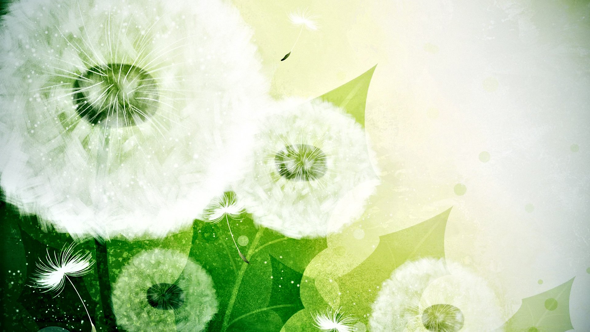 小清新,清新淡雅,蒲公英,儿童桌面专用