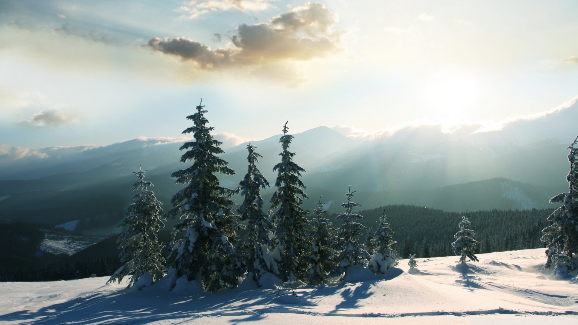 风景,雪,自然风光,冬季,冬天,儿童桌面专用