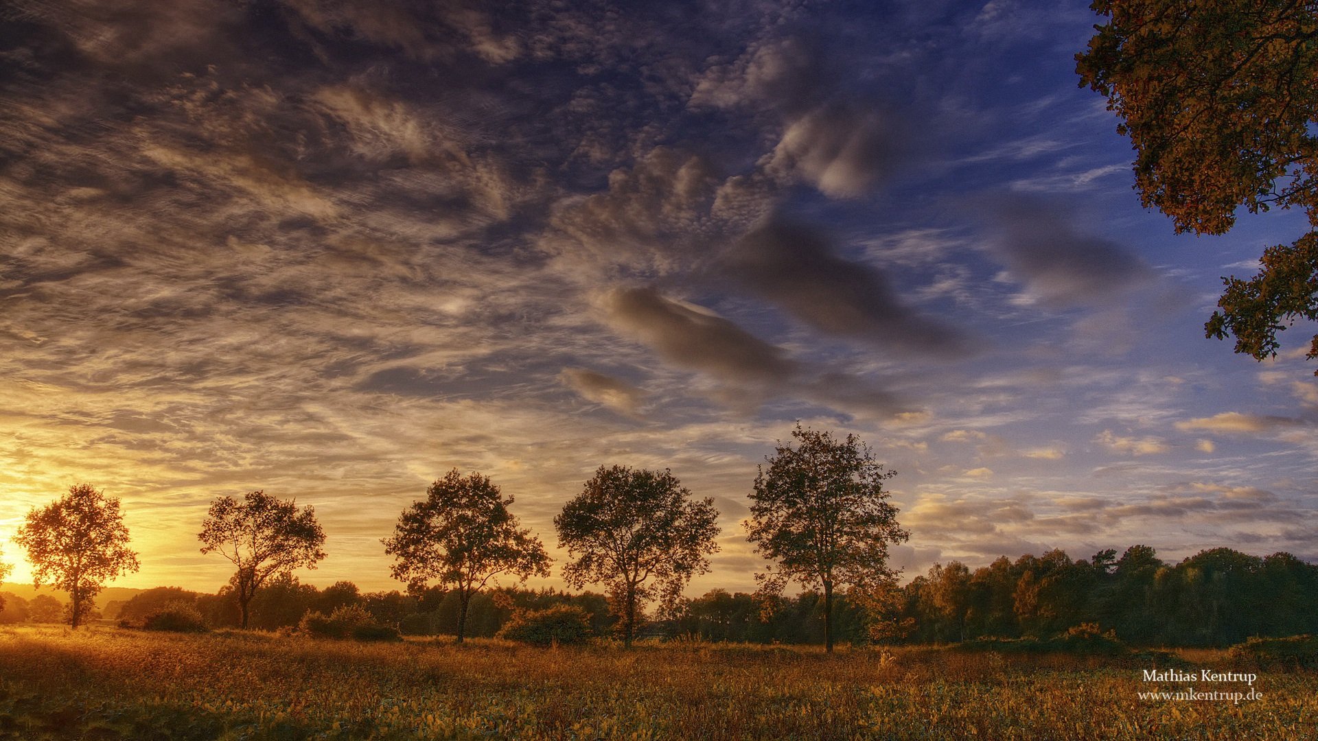 风景,摄影,天空,傍晚,儿童桌面专用
