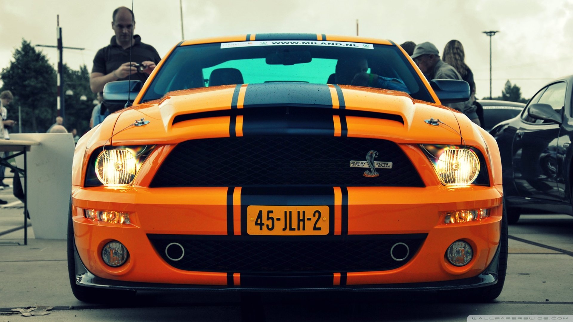 超跑,道奇,蝰蛇,肌肉车,儿童桌面专用