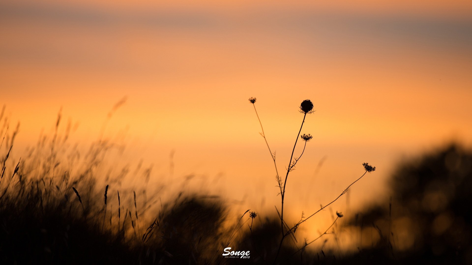 小清新,清新淡雅