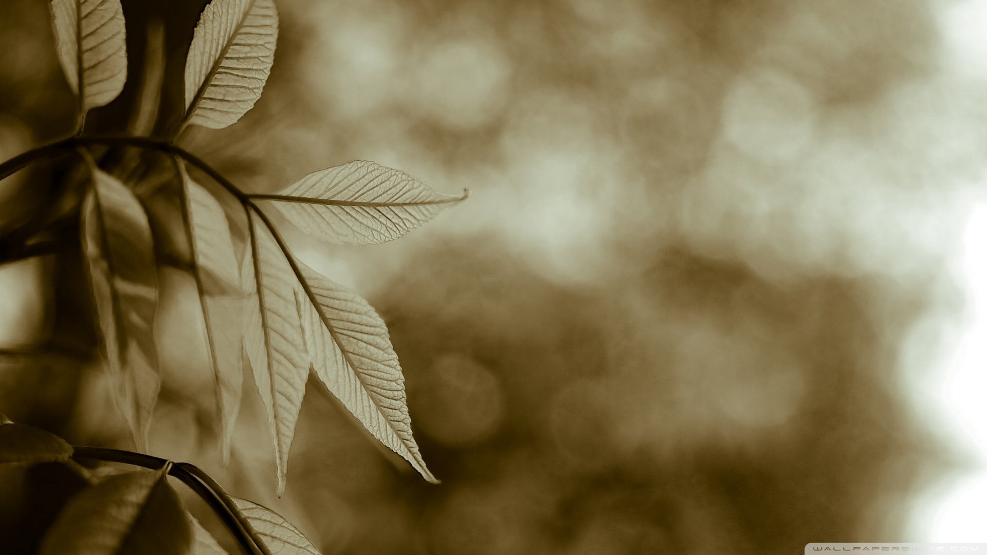 小清新,温馨一刻